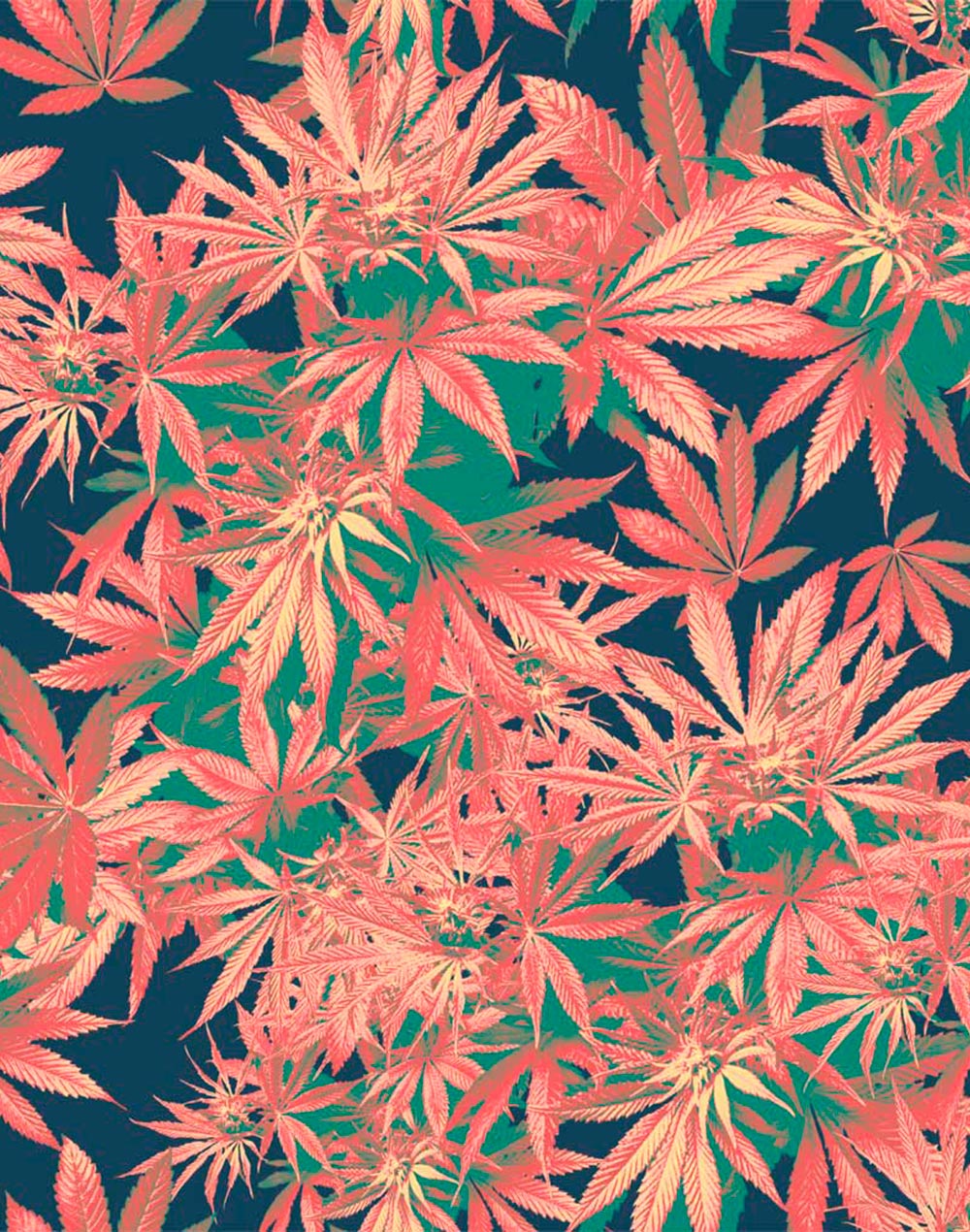 Casquette  5 panneaux HAZE