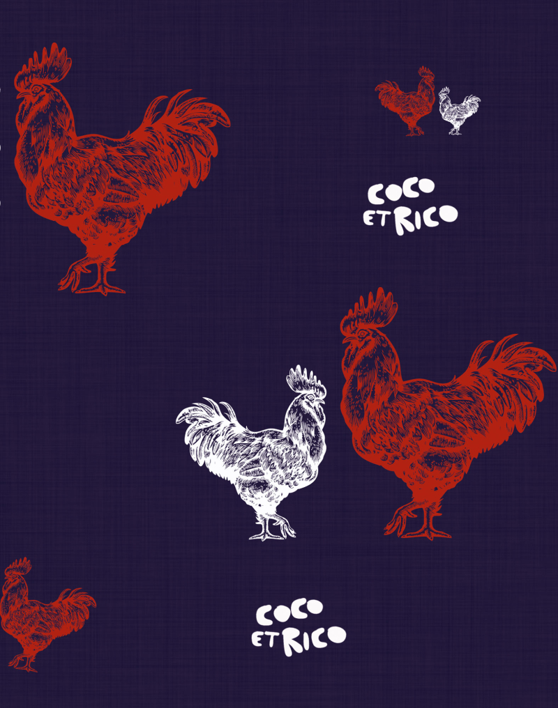 BOXER LONG COCOETRICO