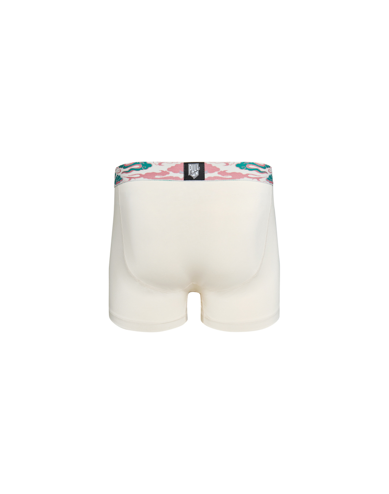 Men's trunk Master CLOUDCREAM