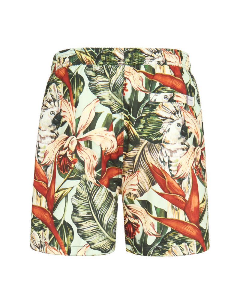 SHORT DE BAIN BOTANIK