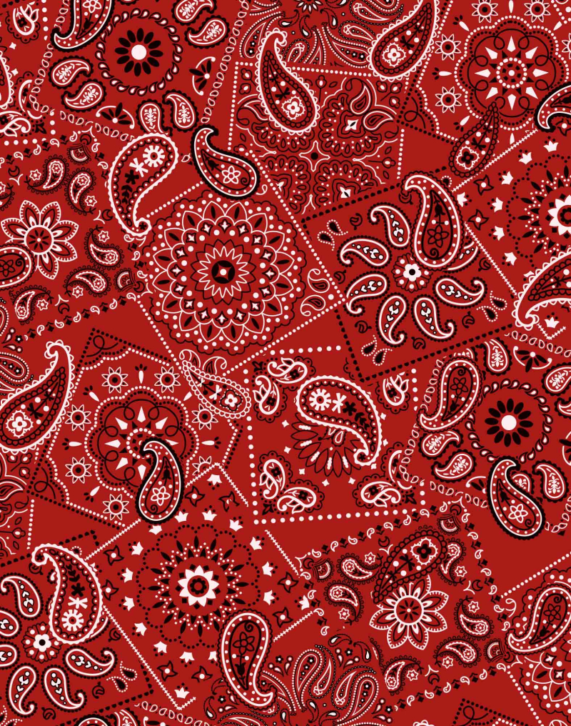 Men's pants PARACHUTE BANDANA