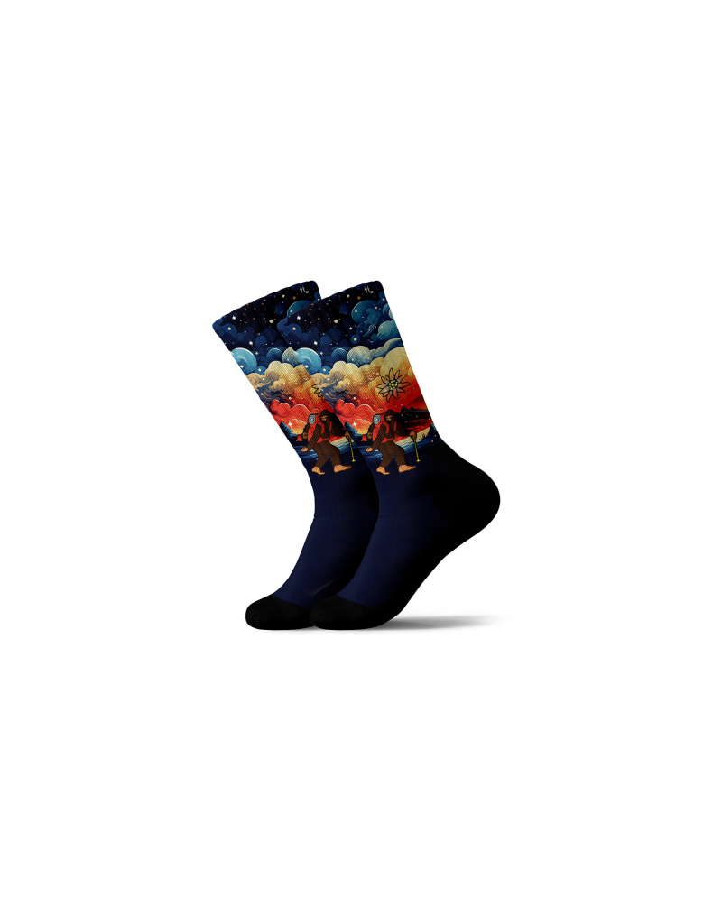 Socks LONGYETINO