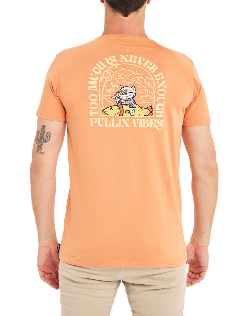 Men's t-shirt CATVIBES