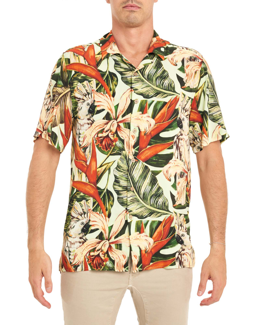 Chemise BOTANIK