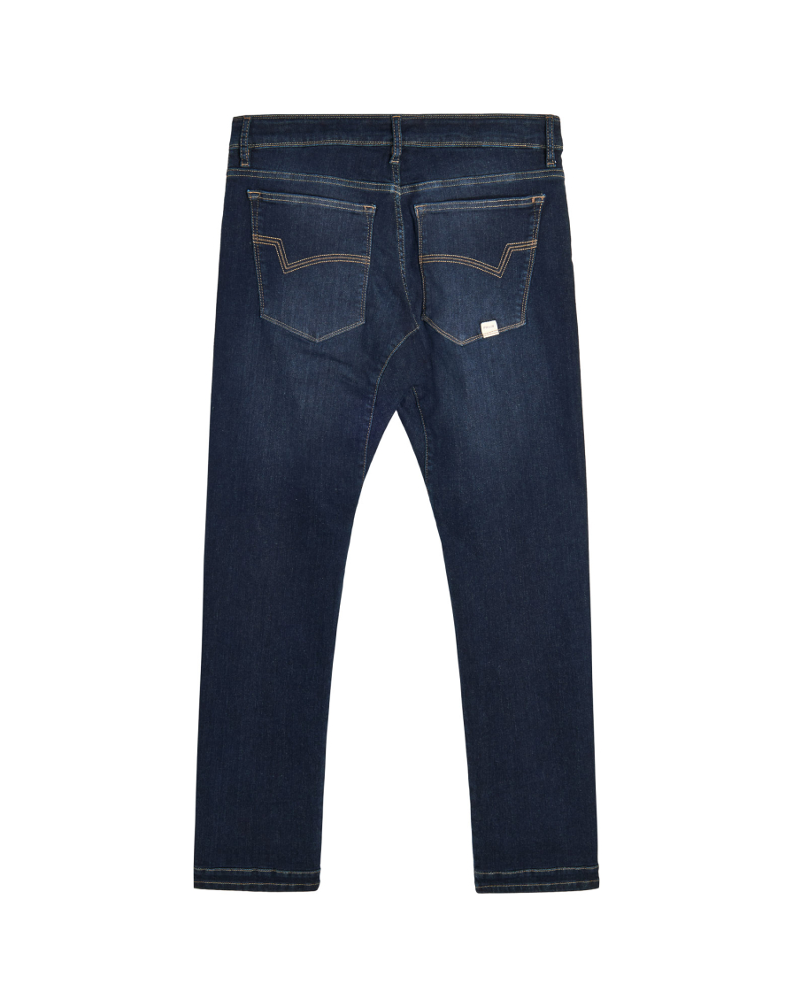 Men's pants DENING EPIC 2 DEAN