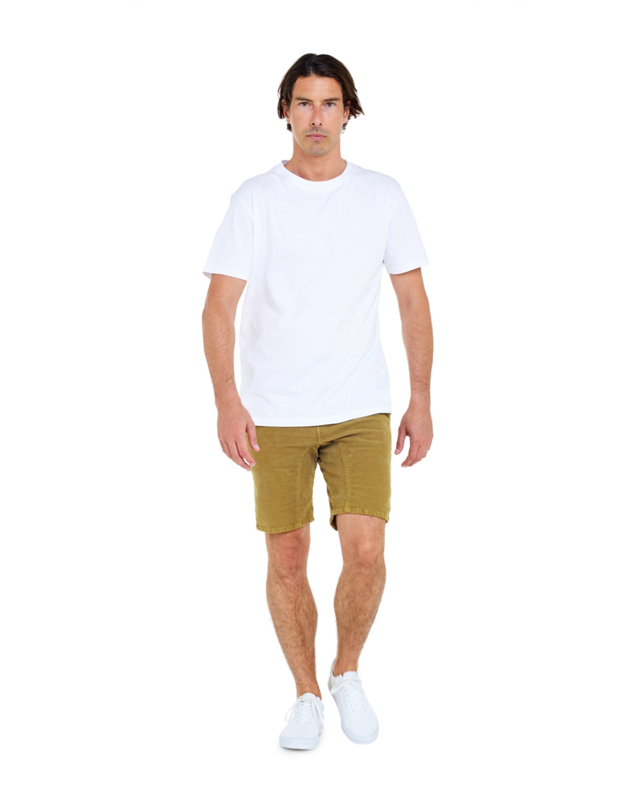 Men's short DENING SHORT CHINO LAND