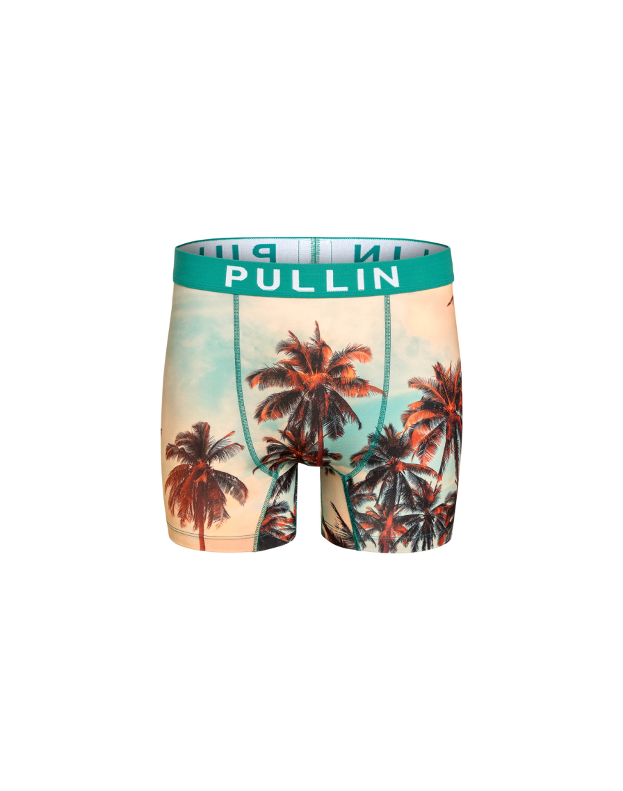 Men's trunk FASHION 2 LOGCABINS