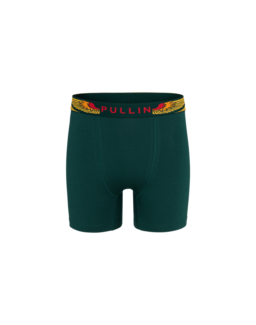 Men's trunk FASHION 2 WINGSGREEN