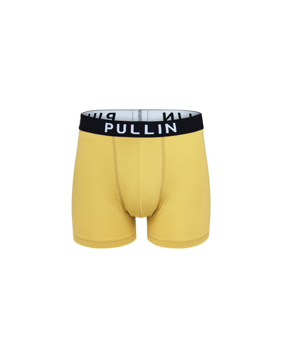 Men's trunk Master GOLD