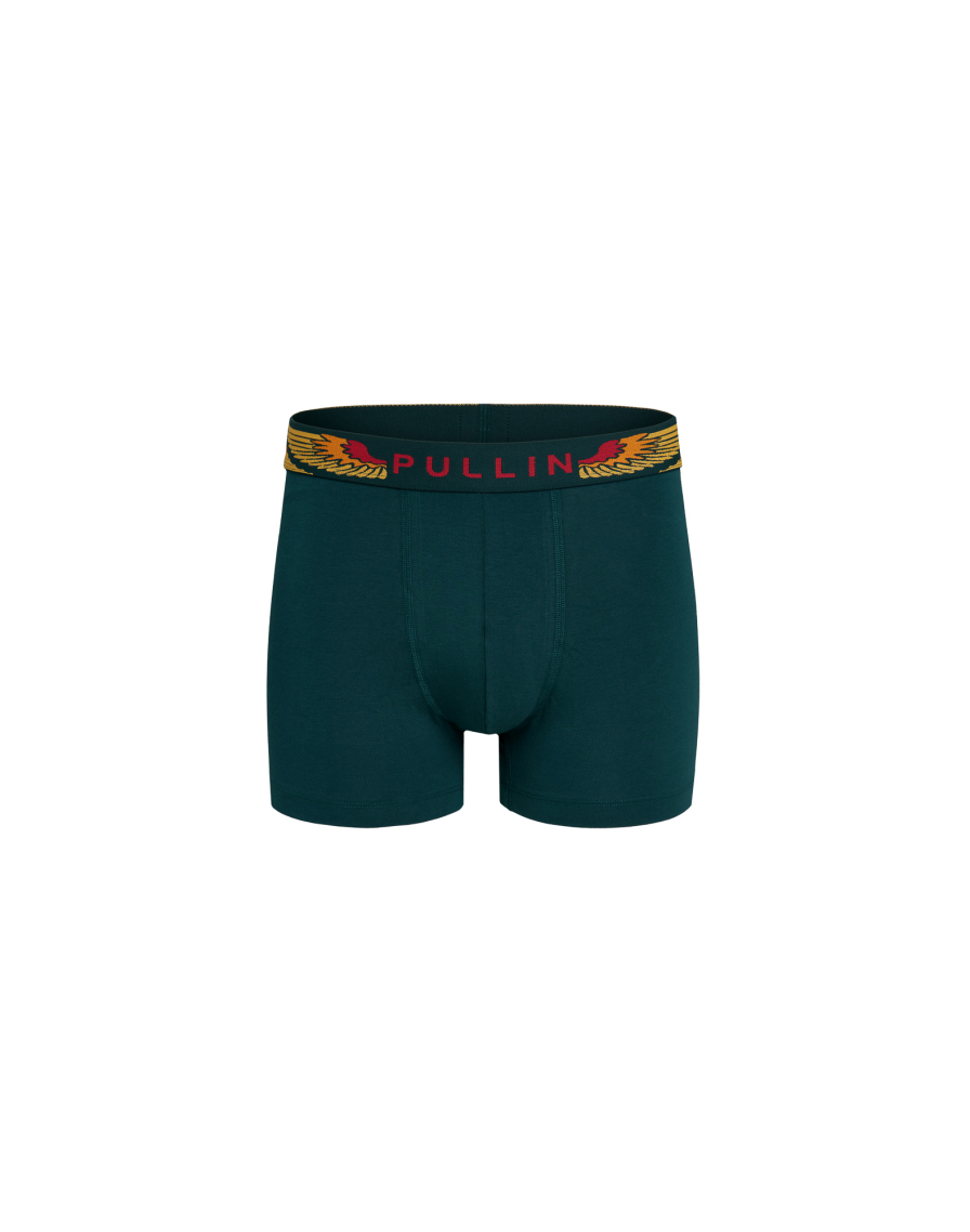 Men's trunk Master WINGSGREEN