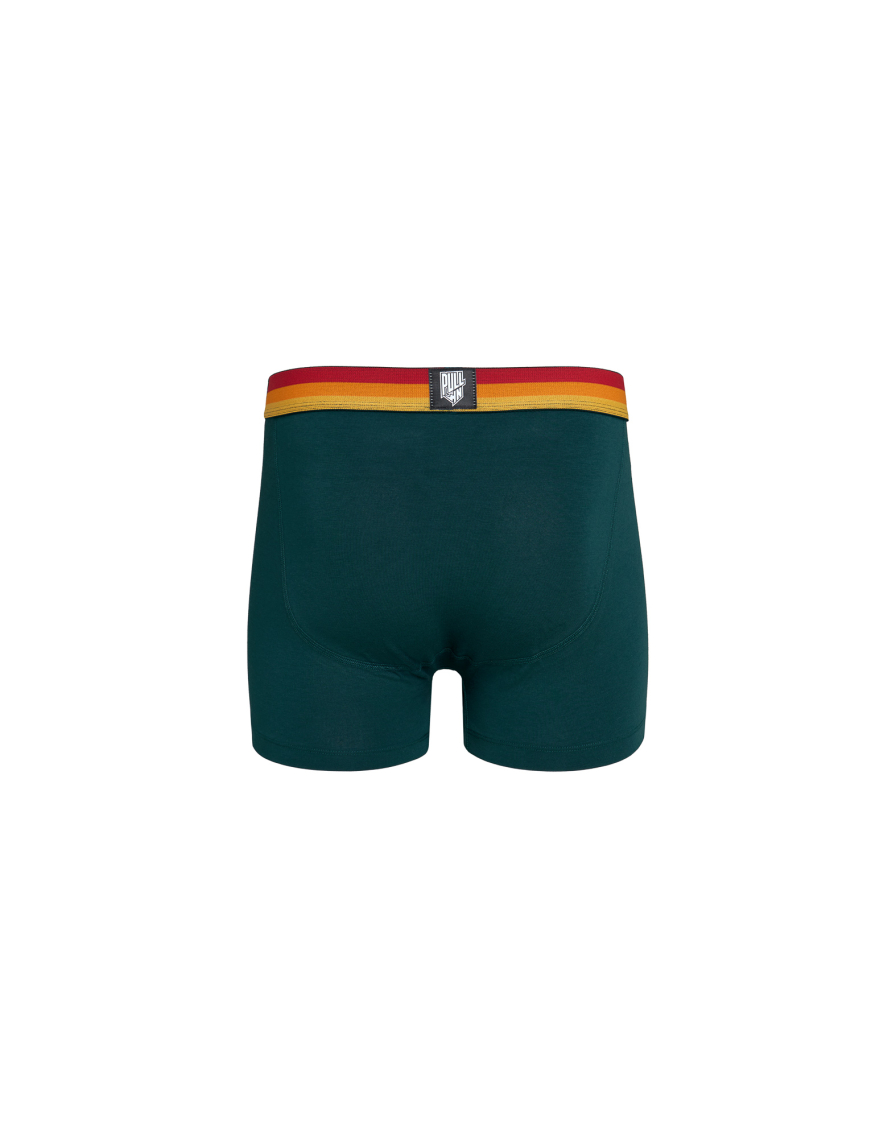 Men's trunk Master WINGSGREEN