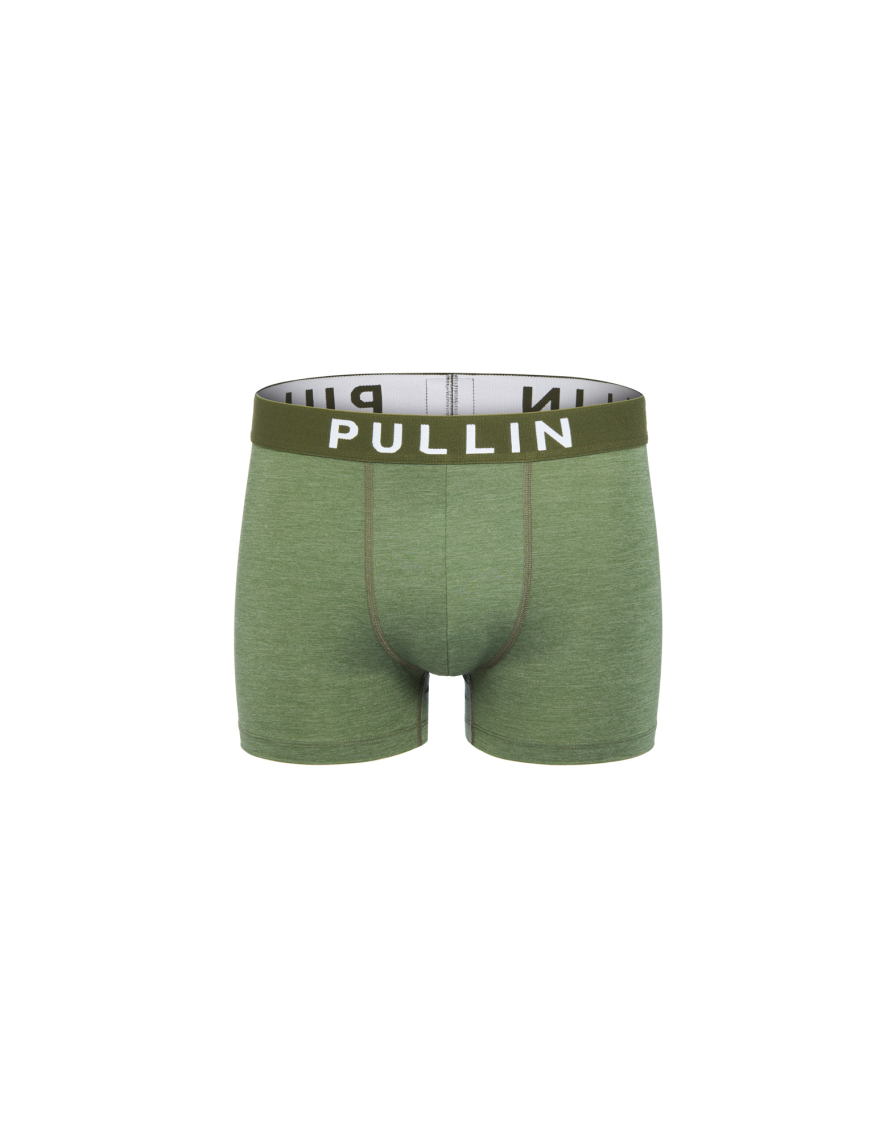 Men's trunk Master GREENH22