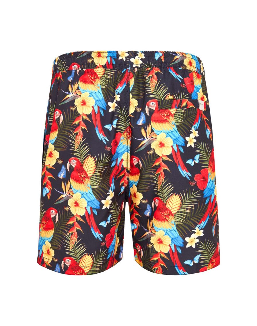 Men's short PAKO COLORFULL