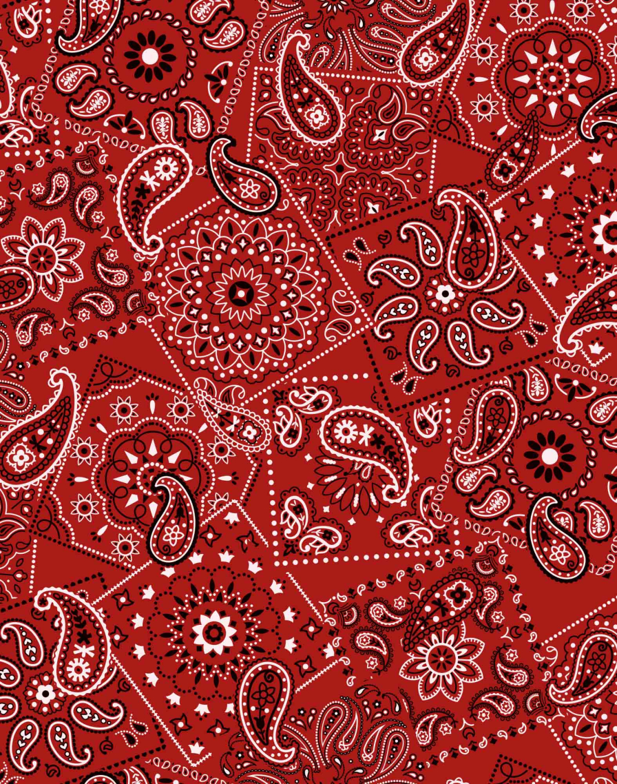 Men's pants PARACHUTE BANDANA
