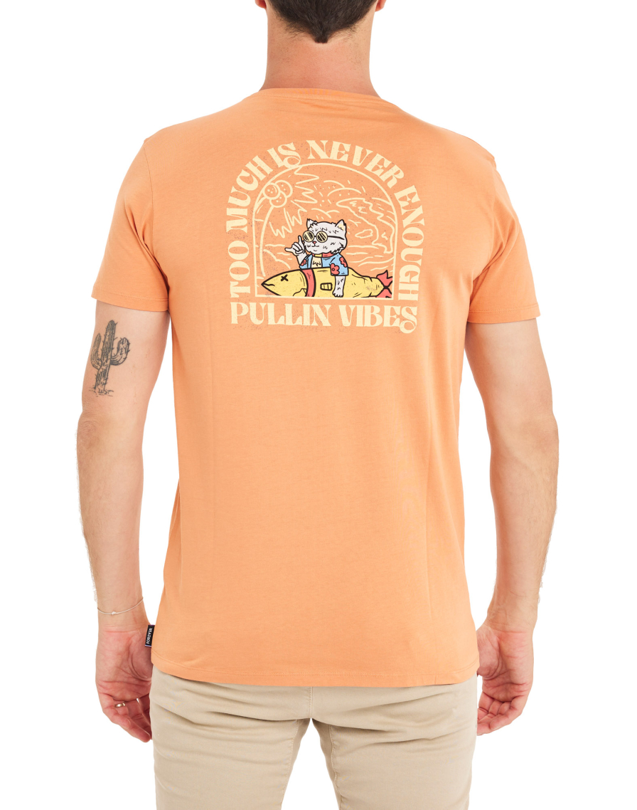 Men's t-shirt CATVIBES