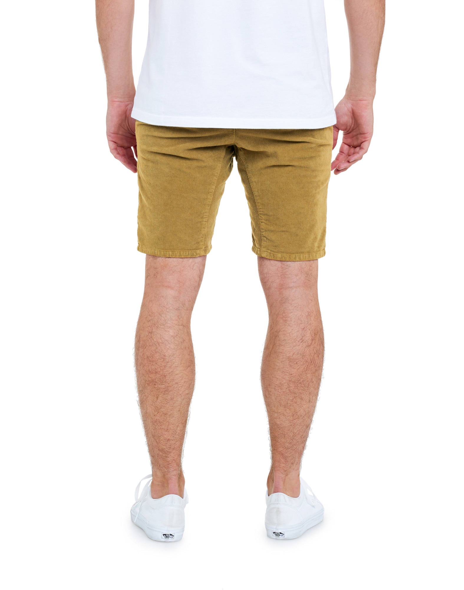 Men's short DENING SHORT CHINO LAND