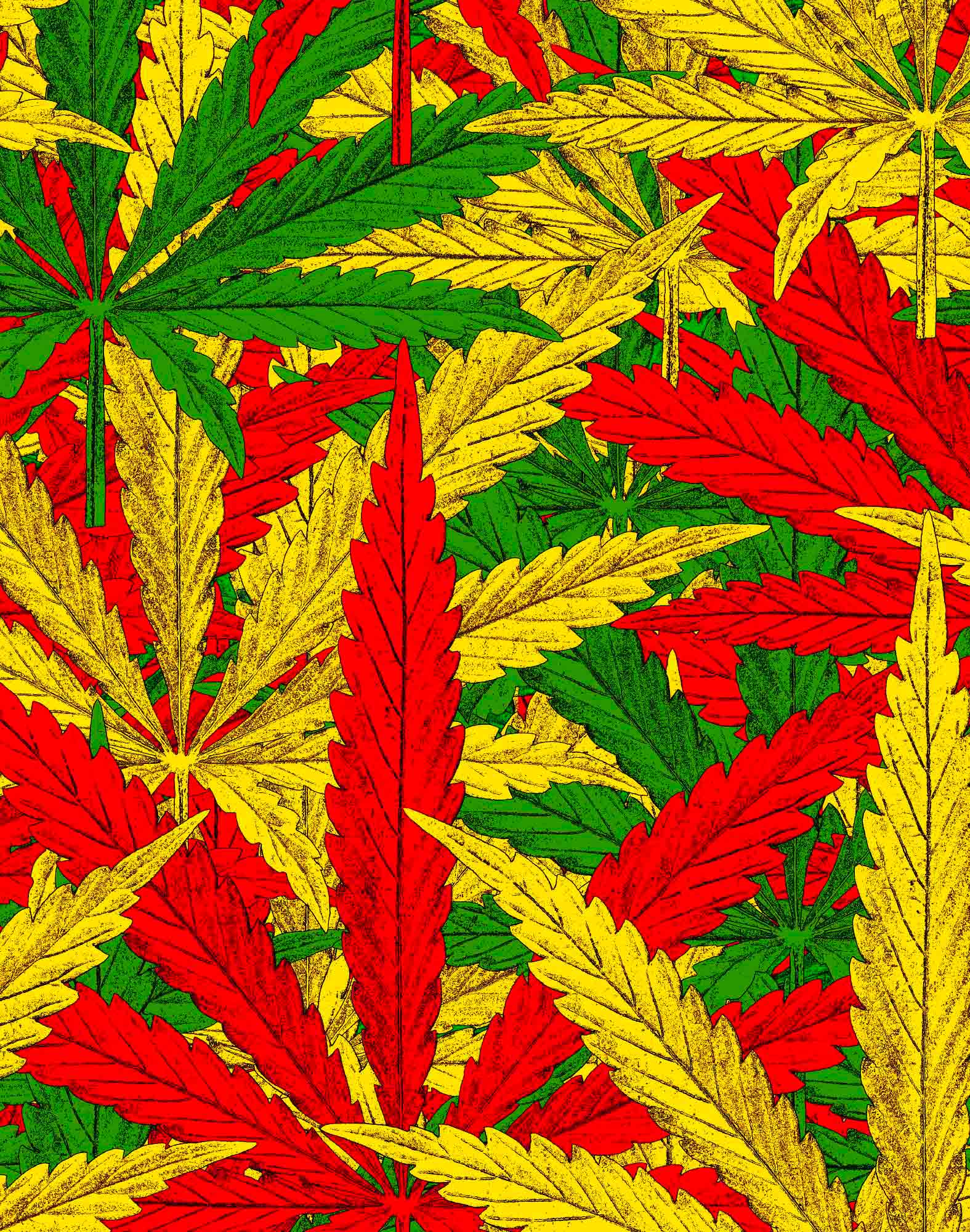 BOXER LONG RASTAMAN