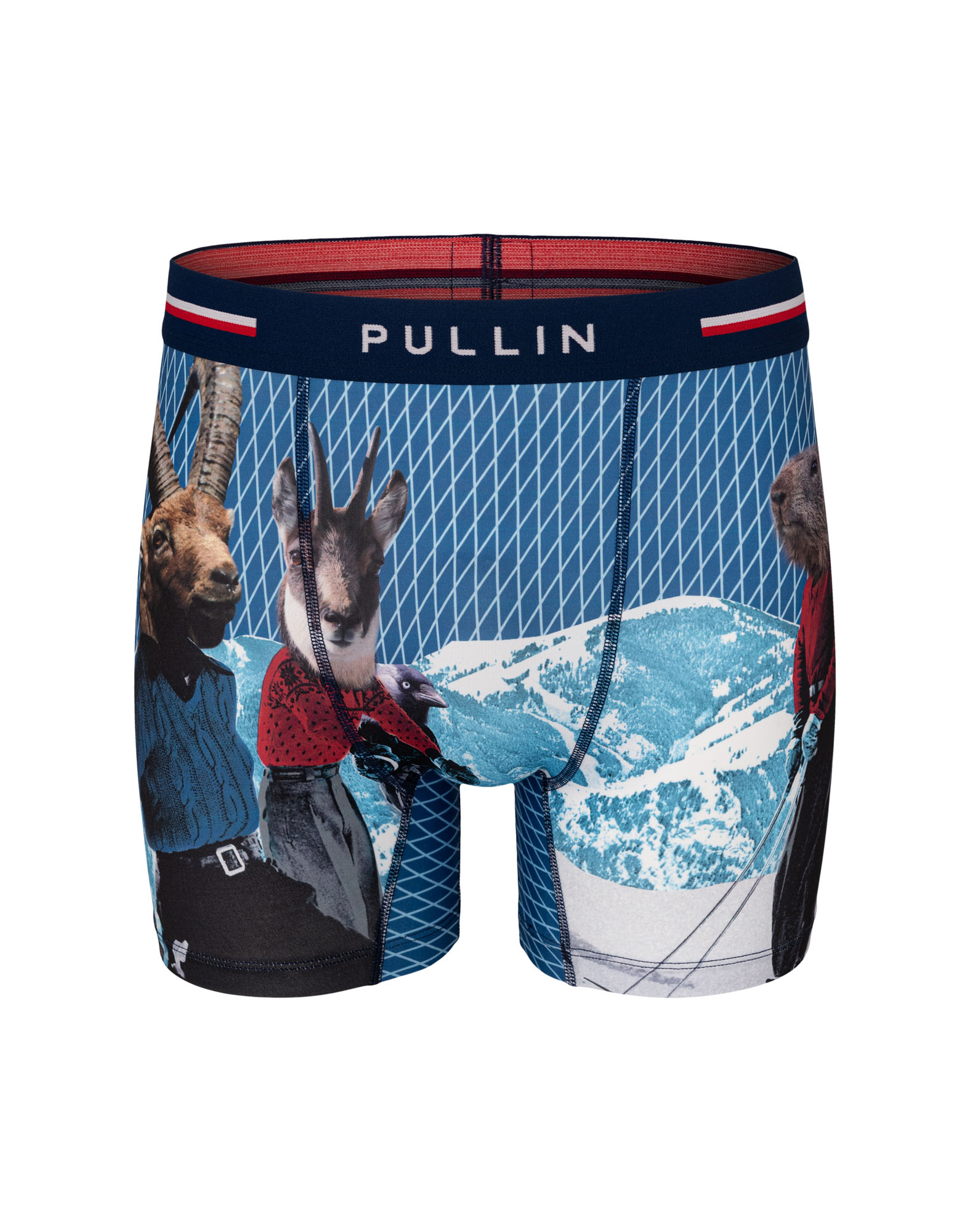 BOXER LONG BOUQUETIN