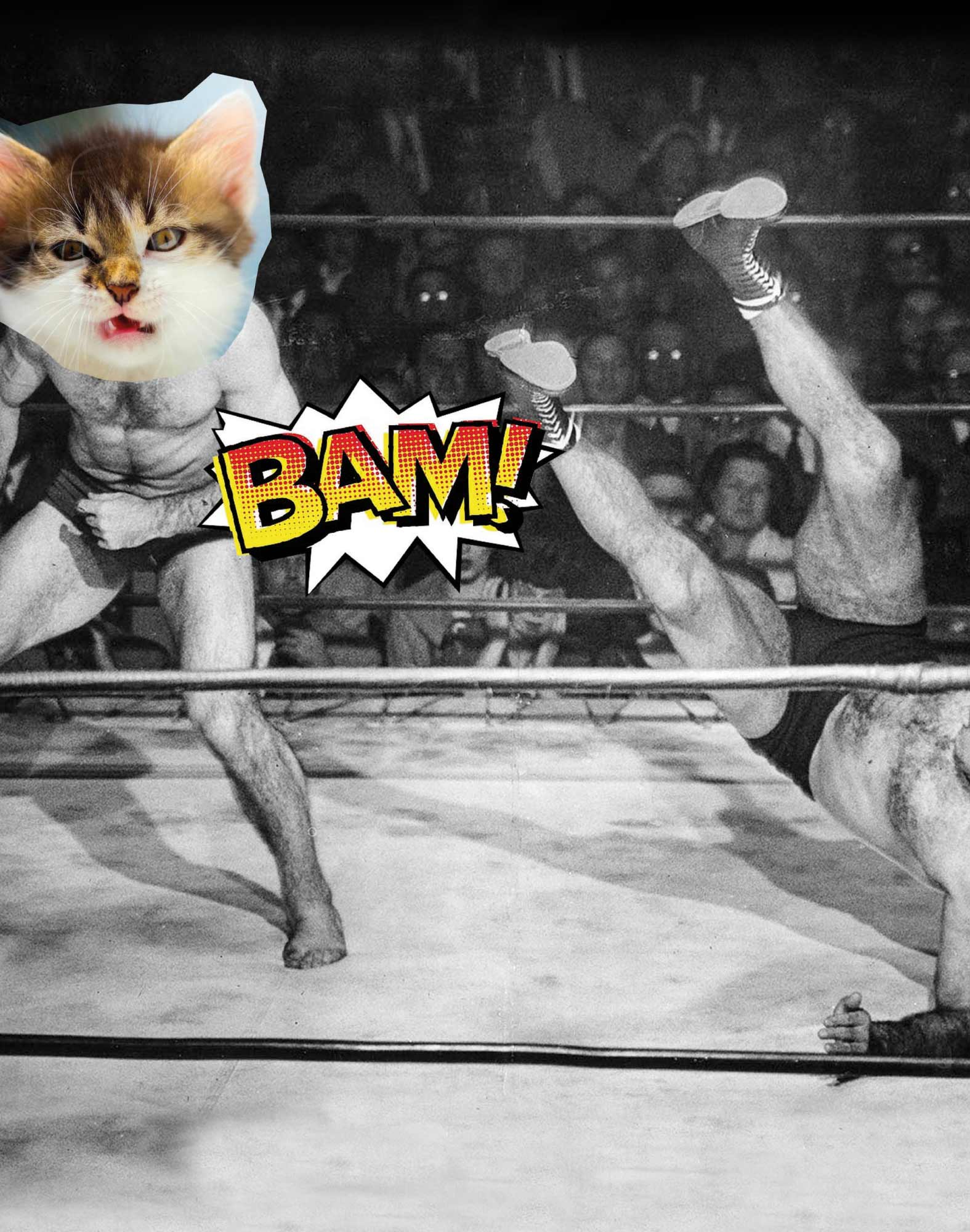 BOXER LONG CATMENACE