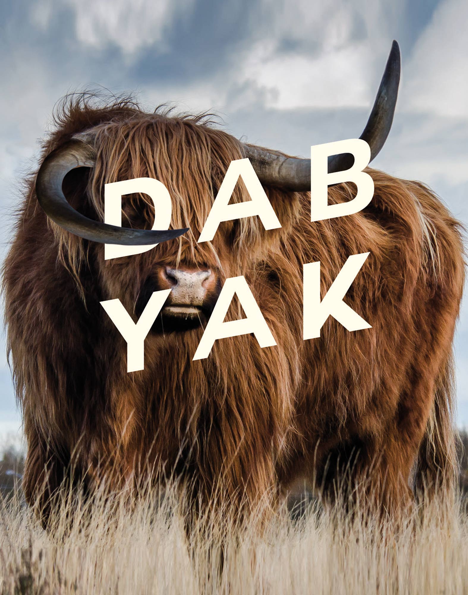 BOXER LONG DABYAK