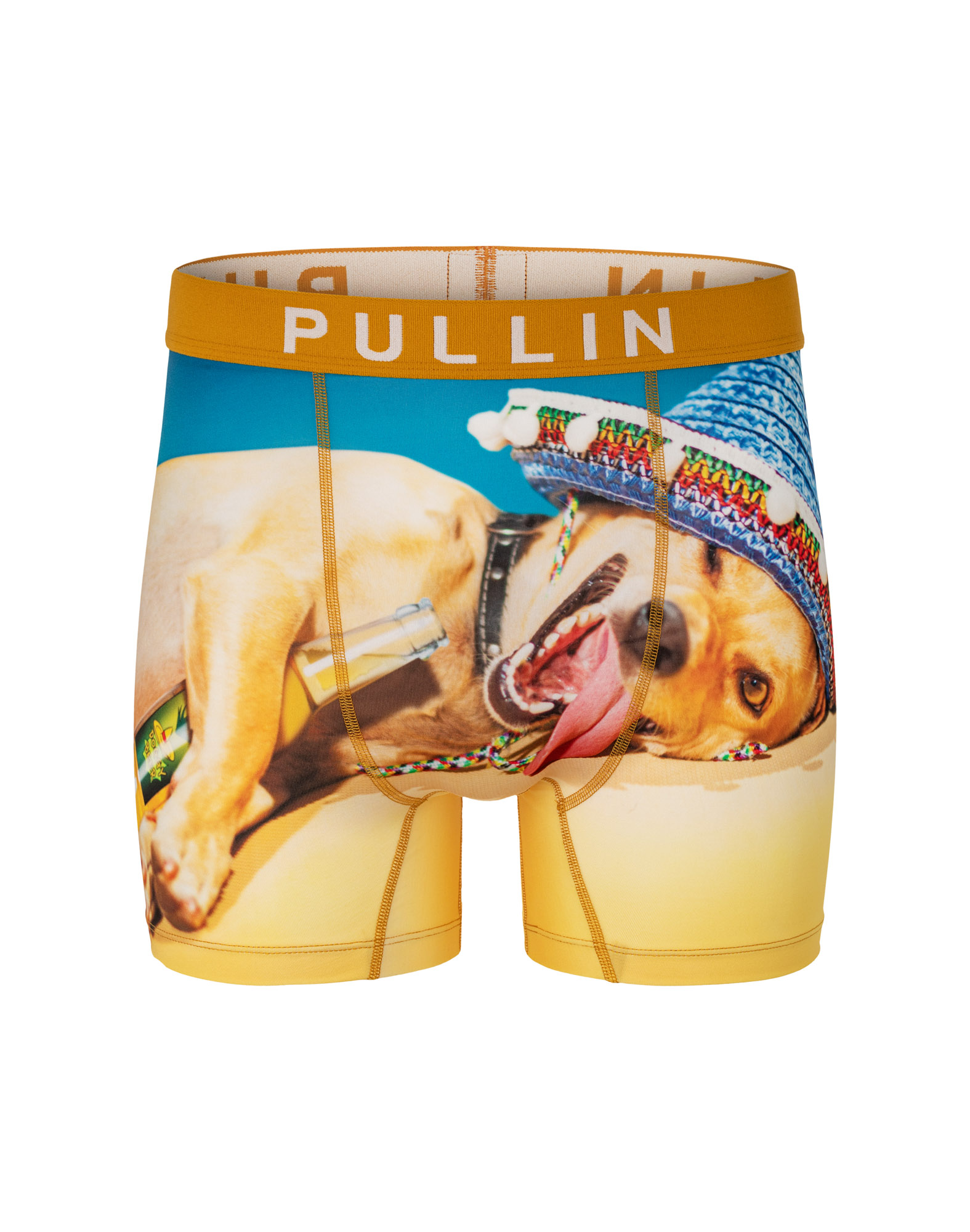 Boxer homme FASHION 2 DOGGYBEER