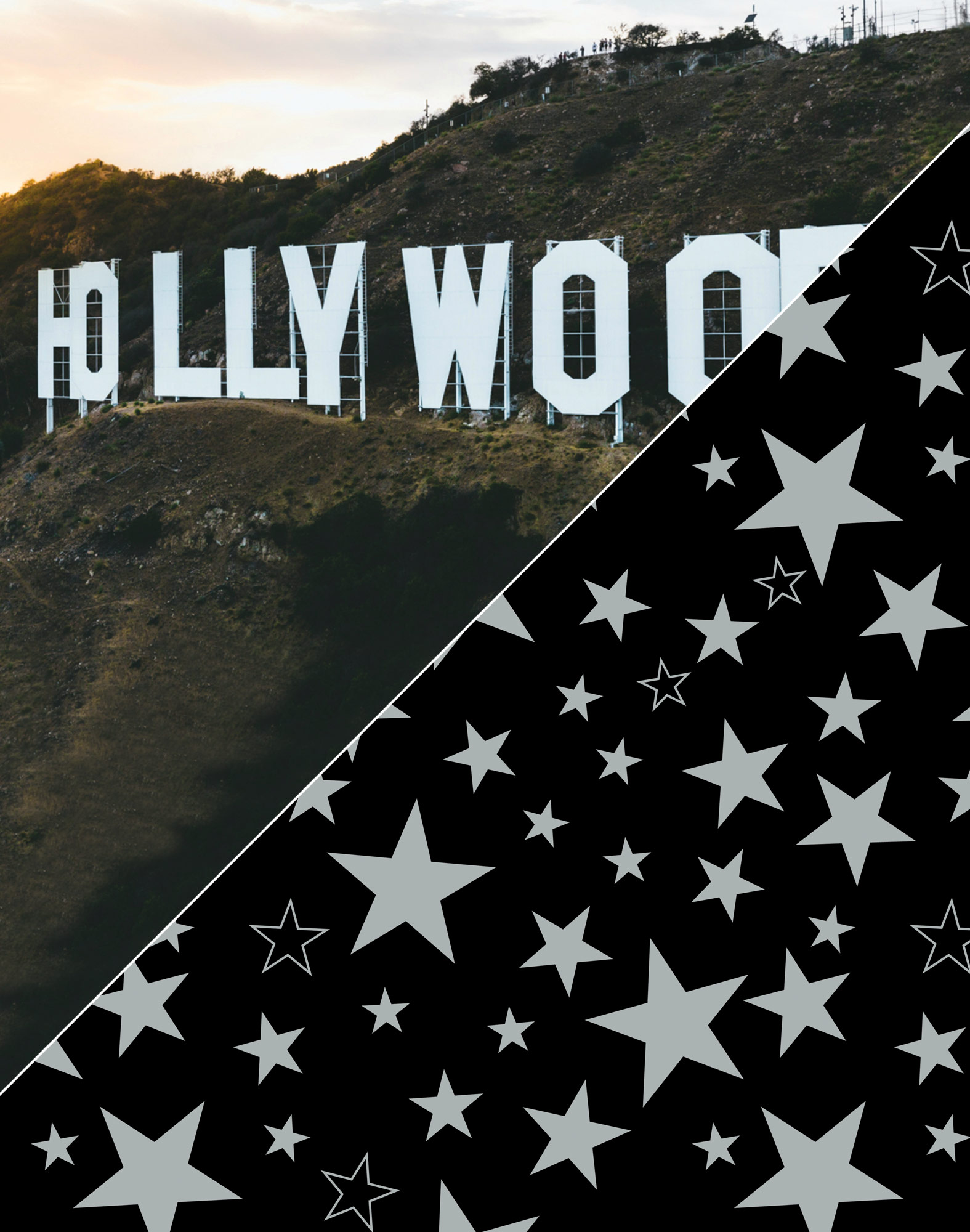 Boxer homme FASHION 2 HOLLYWOOD