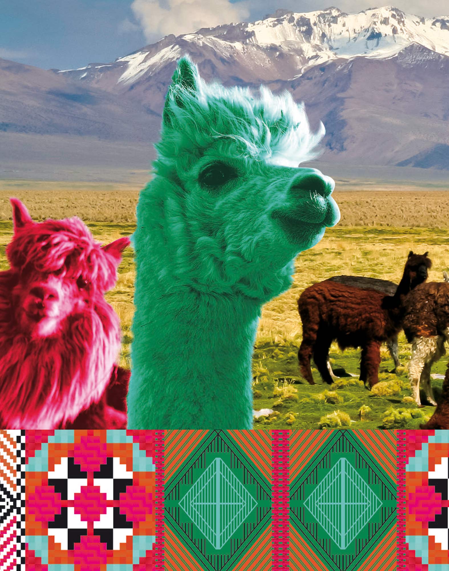 BOXER LONG MACHU