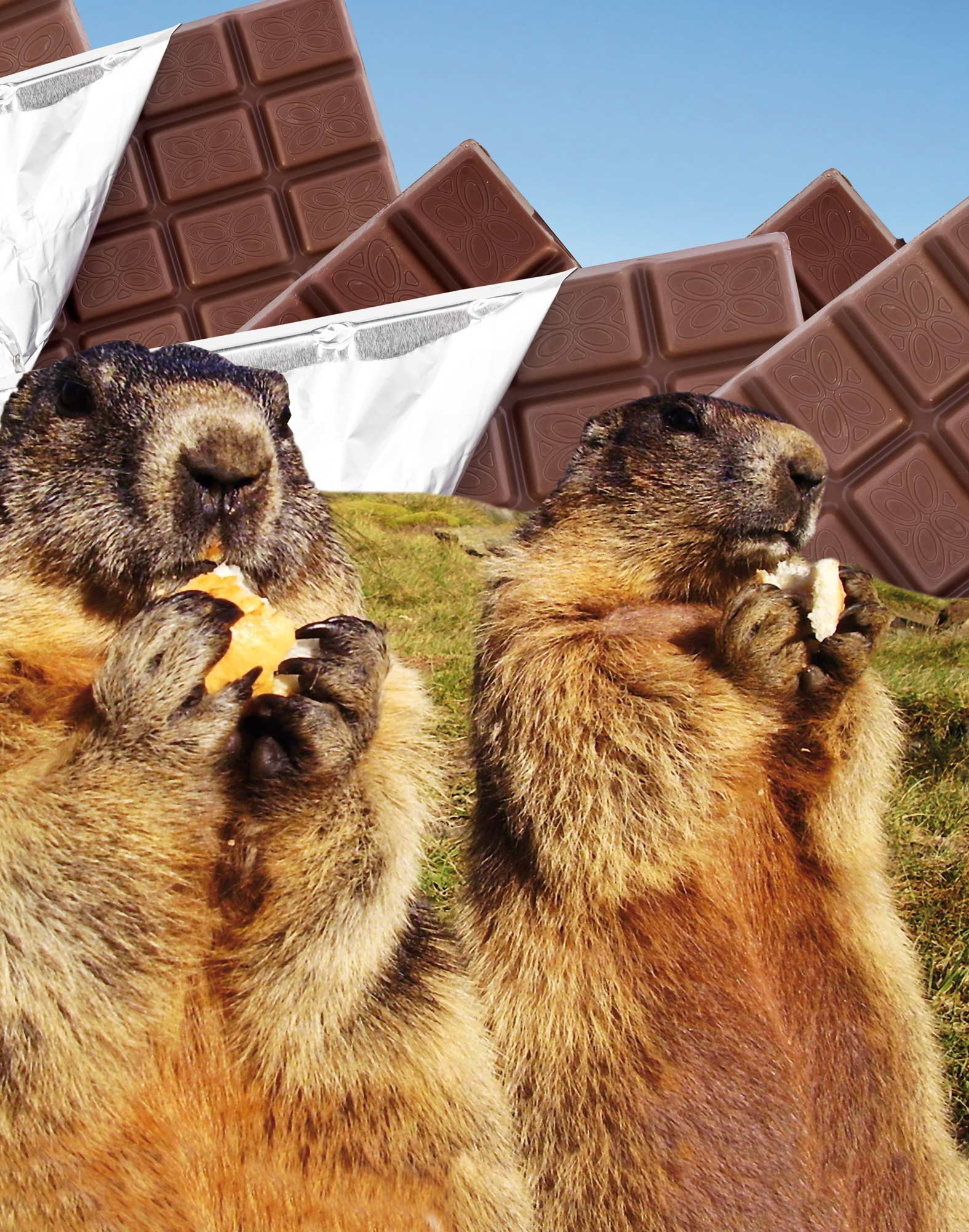 BOXER LONG MARMOTTE