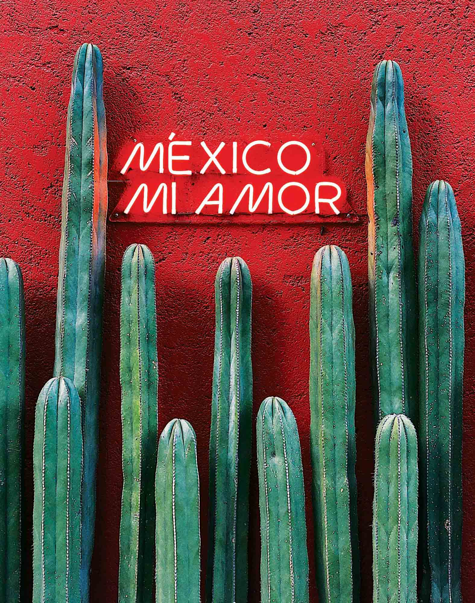Boxer homme imprimé FASHION 2 MEXICOAMOR
