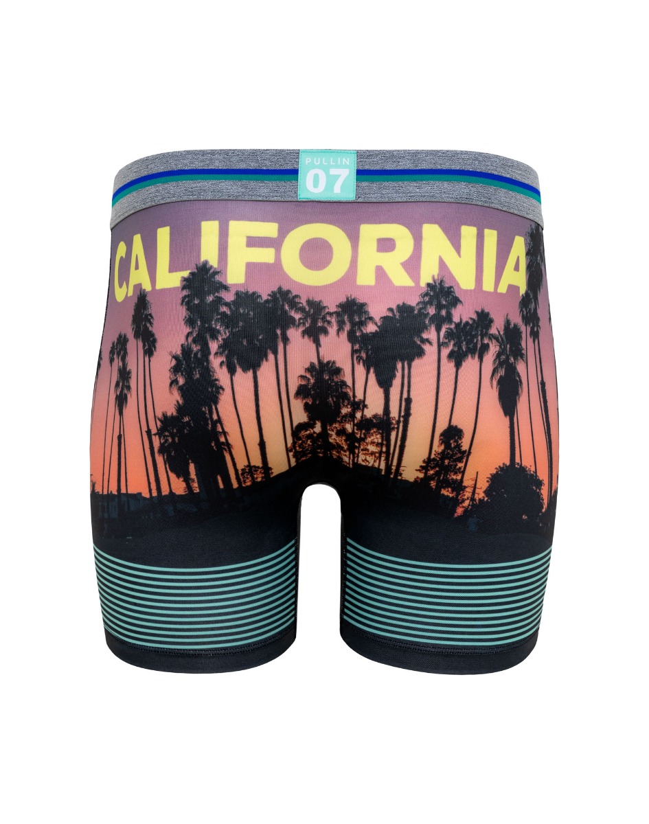 BOXER LONG PALMBEACH