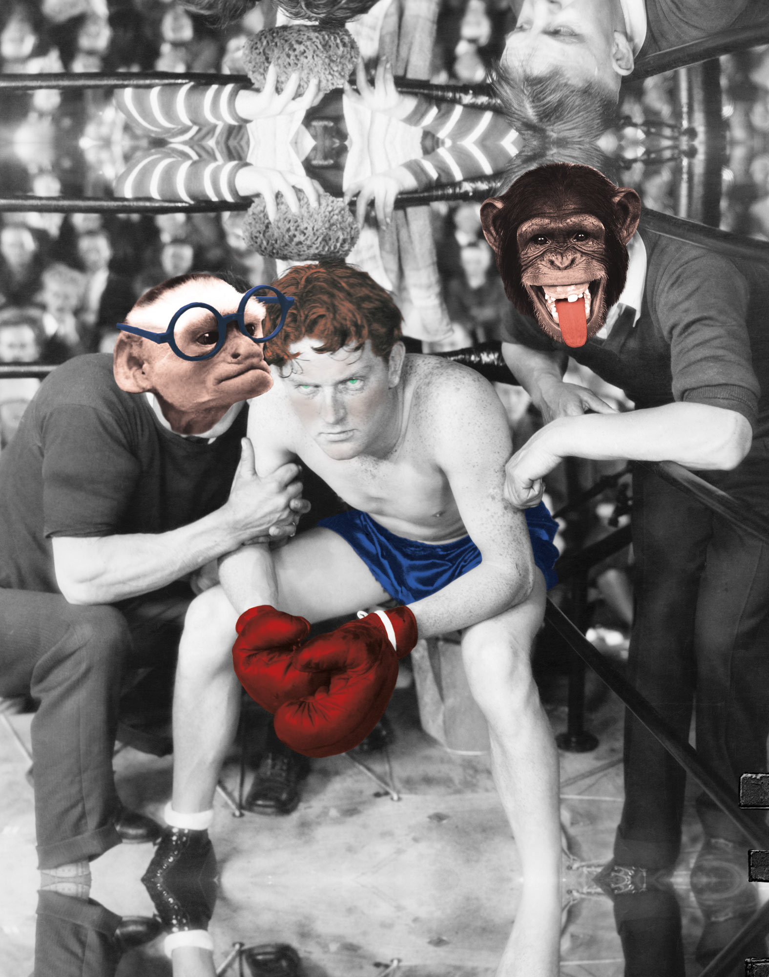 BOXER LONG SERDENTS
