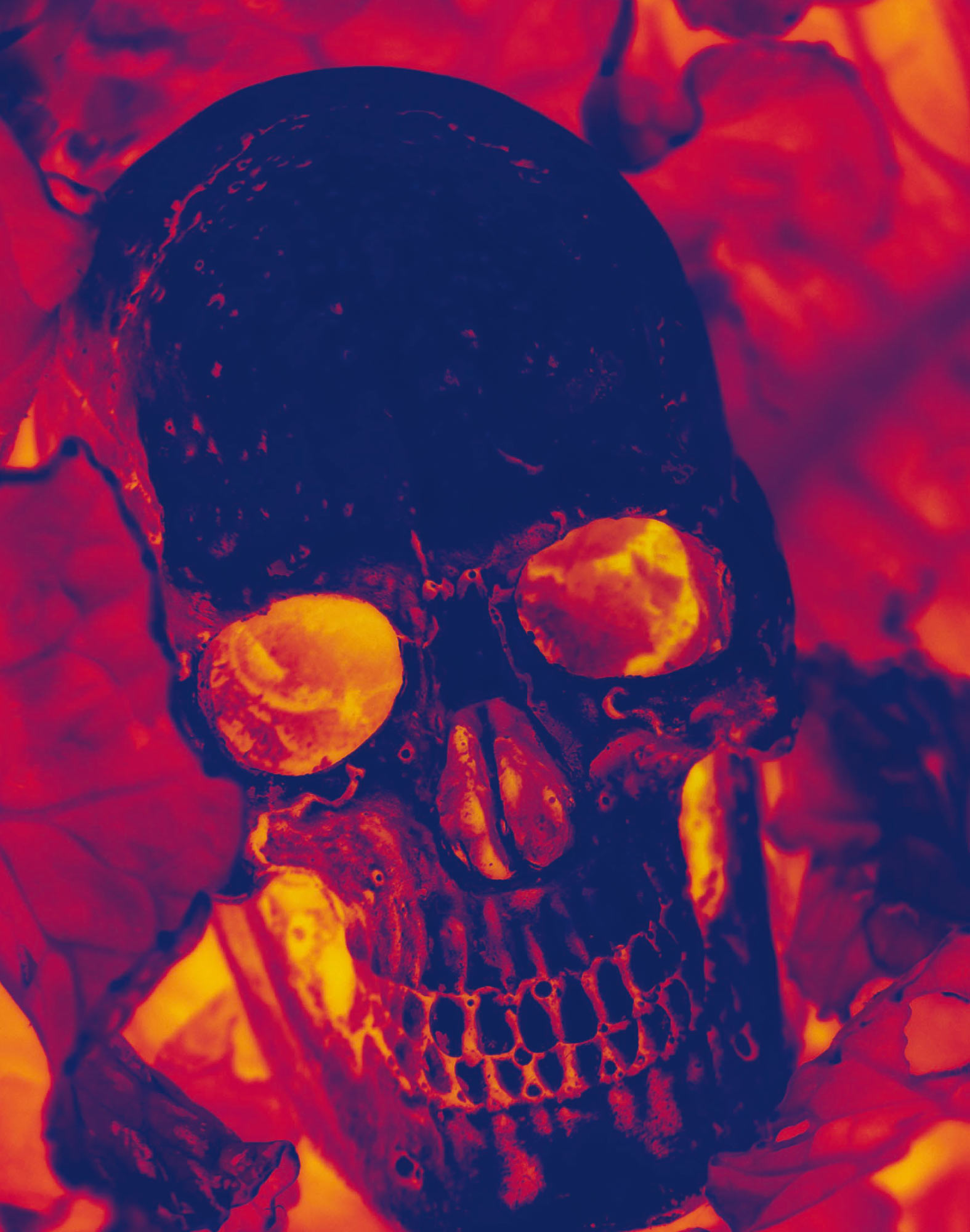 BOXER LONG SKULLPURPL
