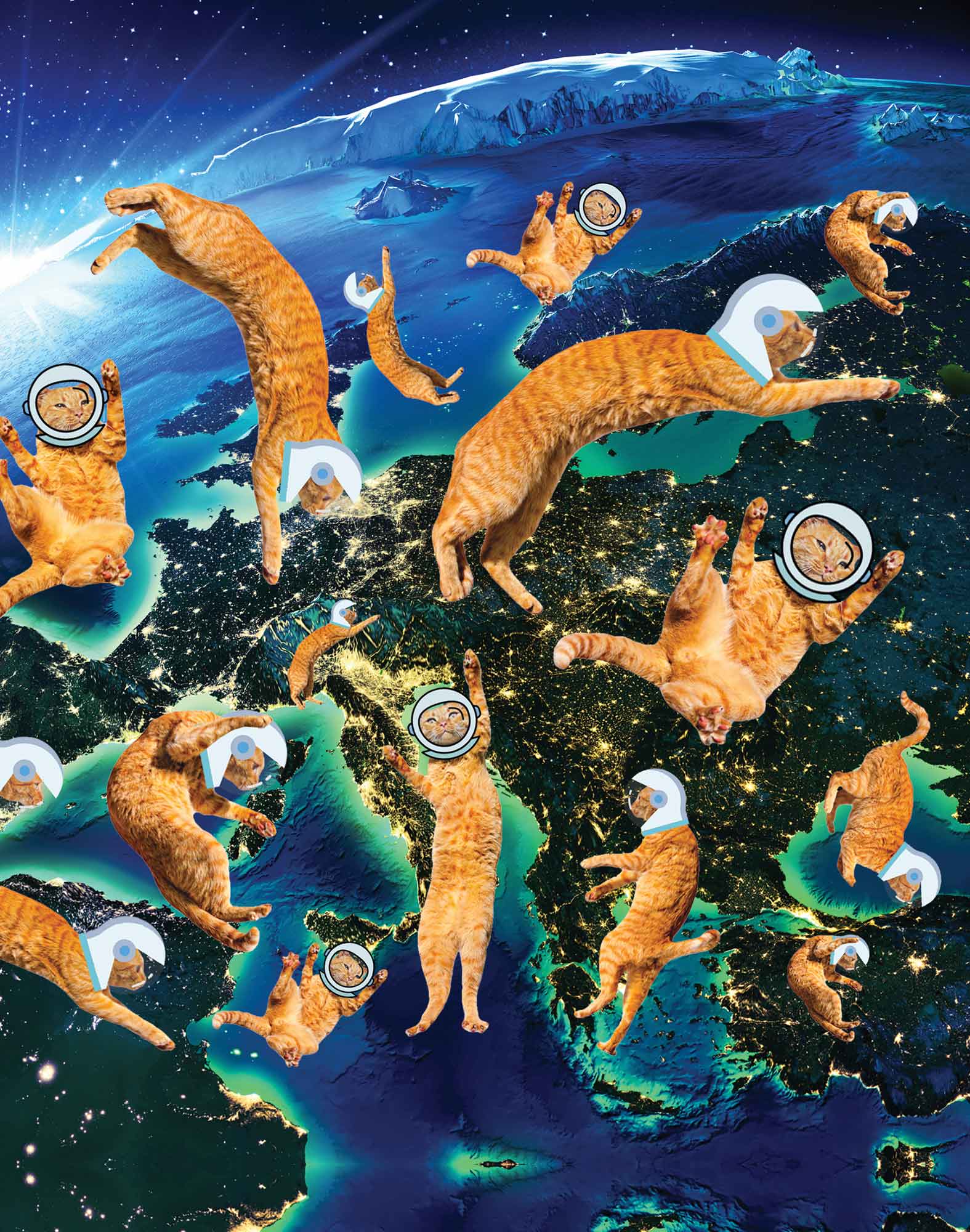 BOXER LONG SPACECATS