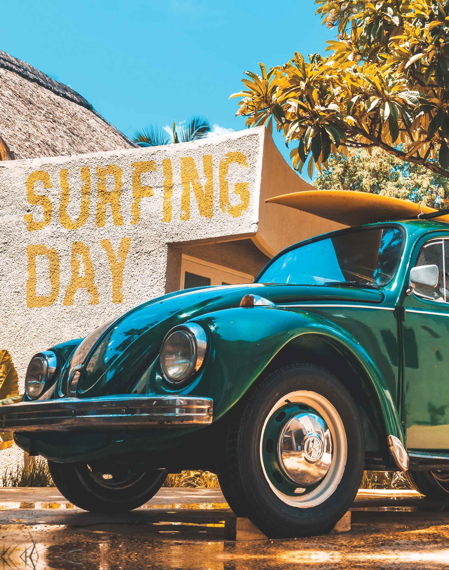 BOXER LONG SURFINGDAY