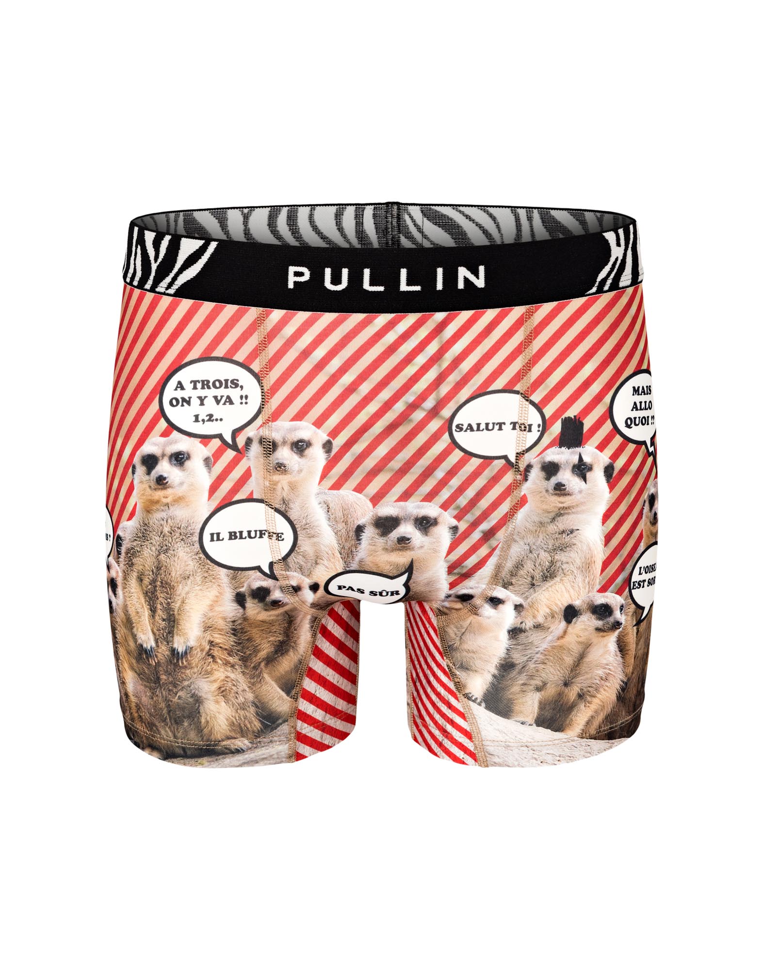 BOXER LONG SURICATE