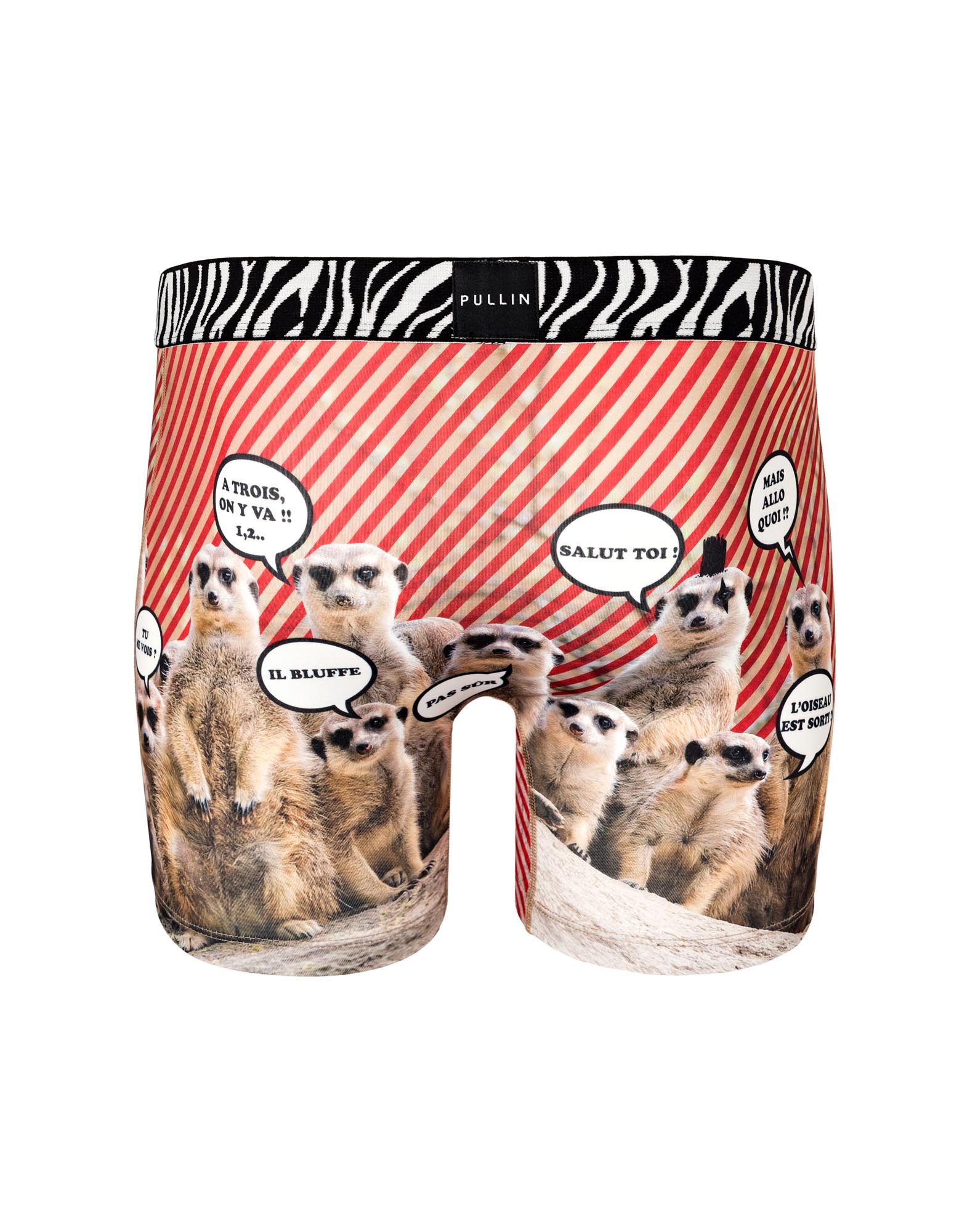 BOXER LONG SURICATE