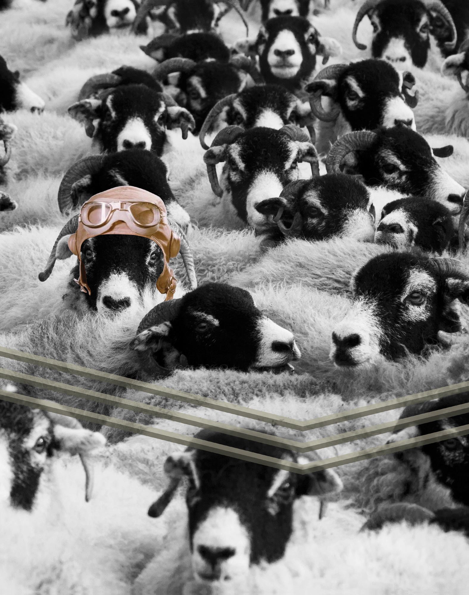 BOXER LONG BLACKSHEEP