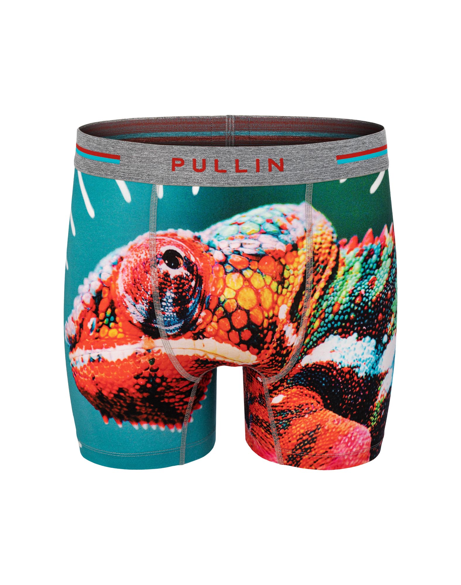 BOXER LONG CAMELEON