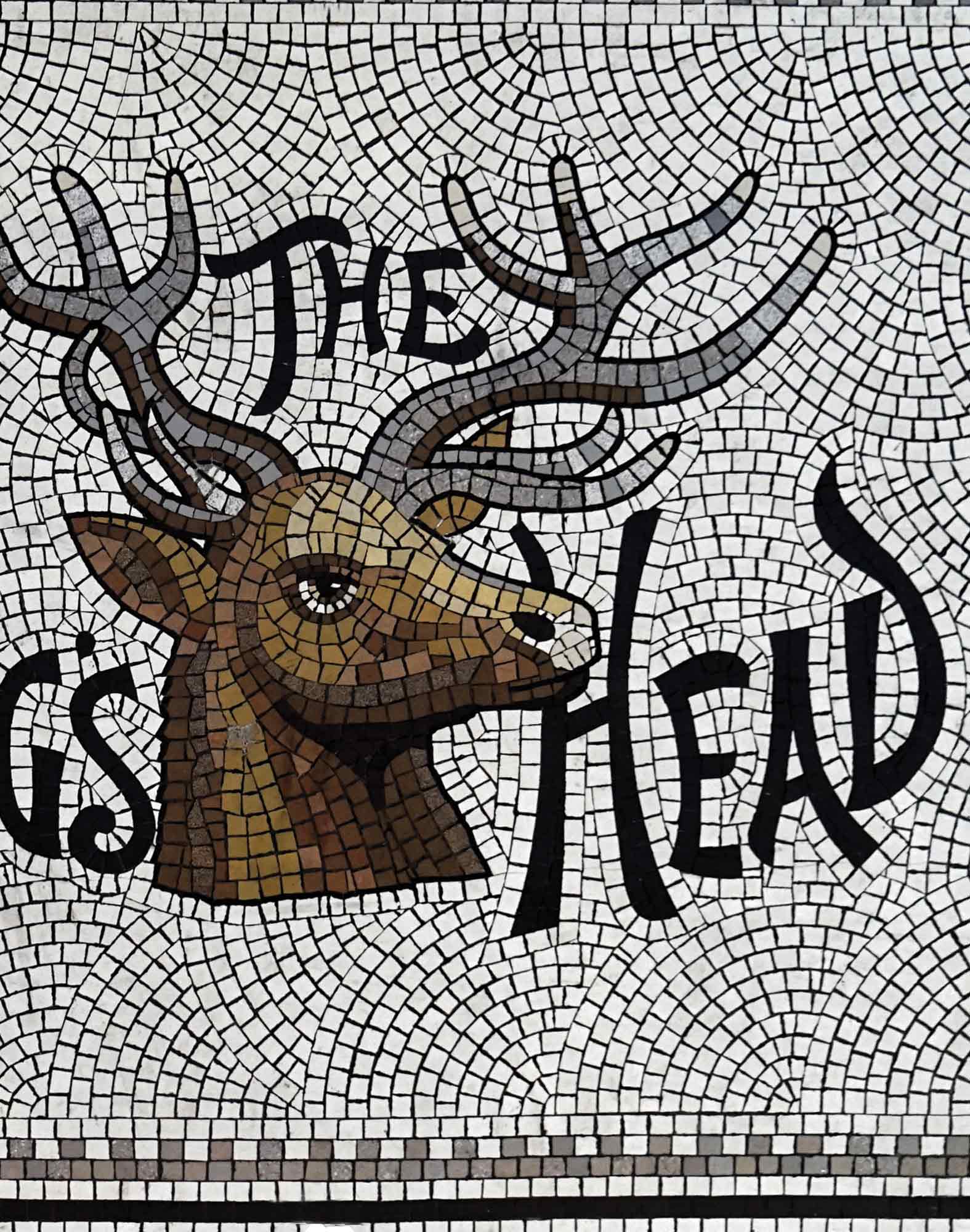 BOXER LONG DEERHEAD