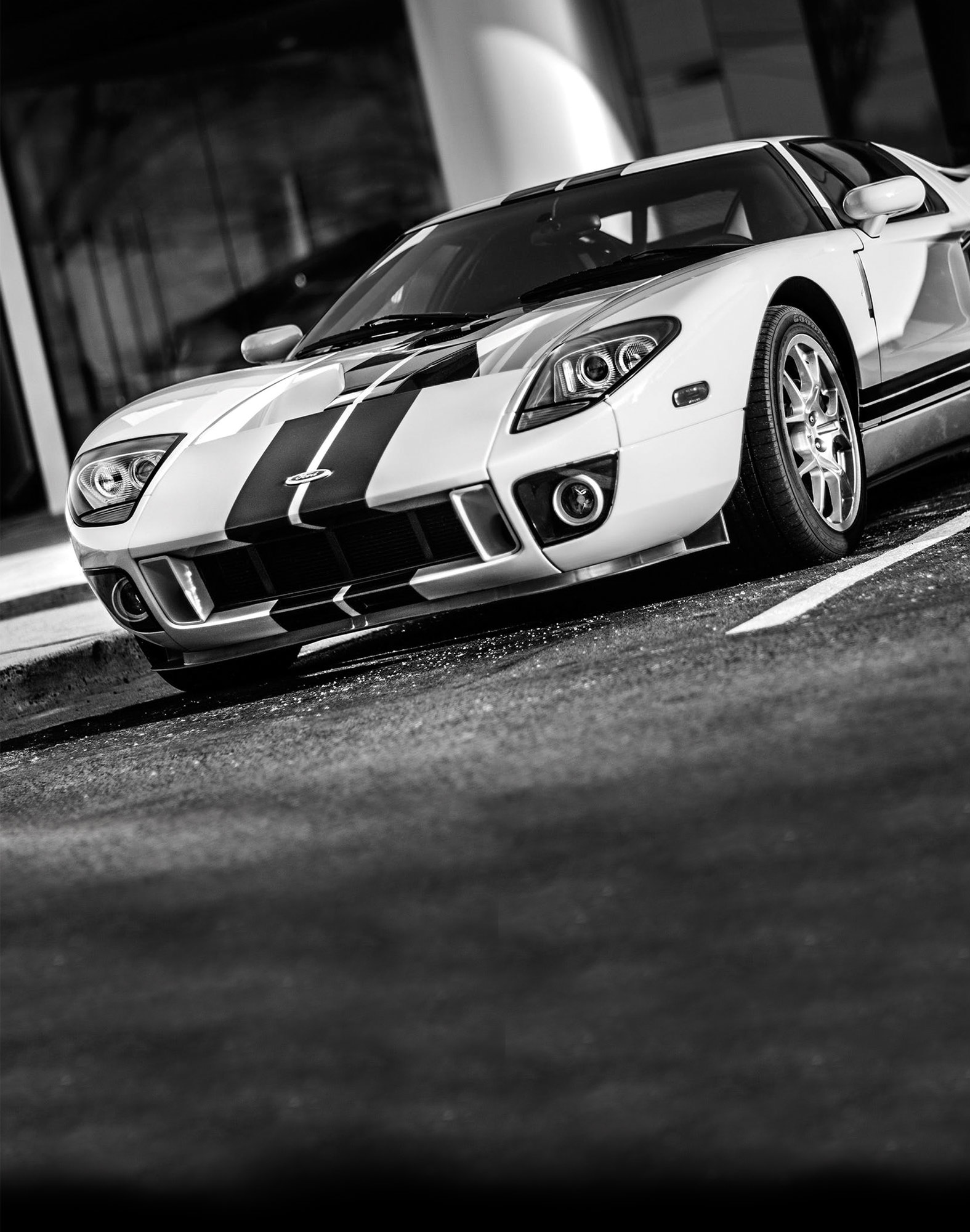 BOXER LONG GT