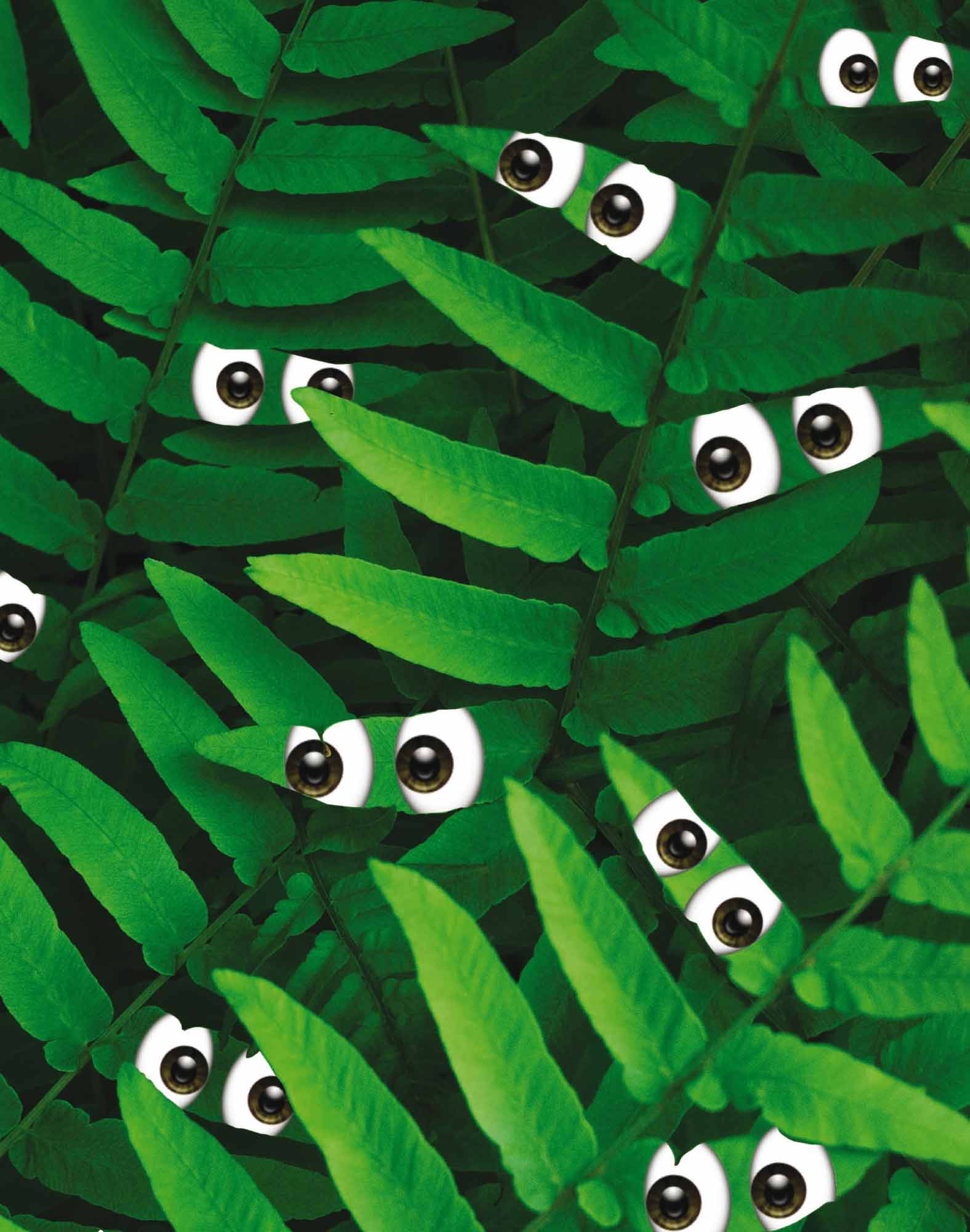 BOXER LONG JUNGLEYES