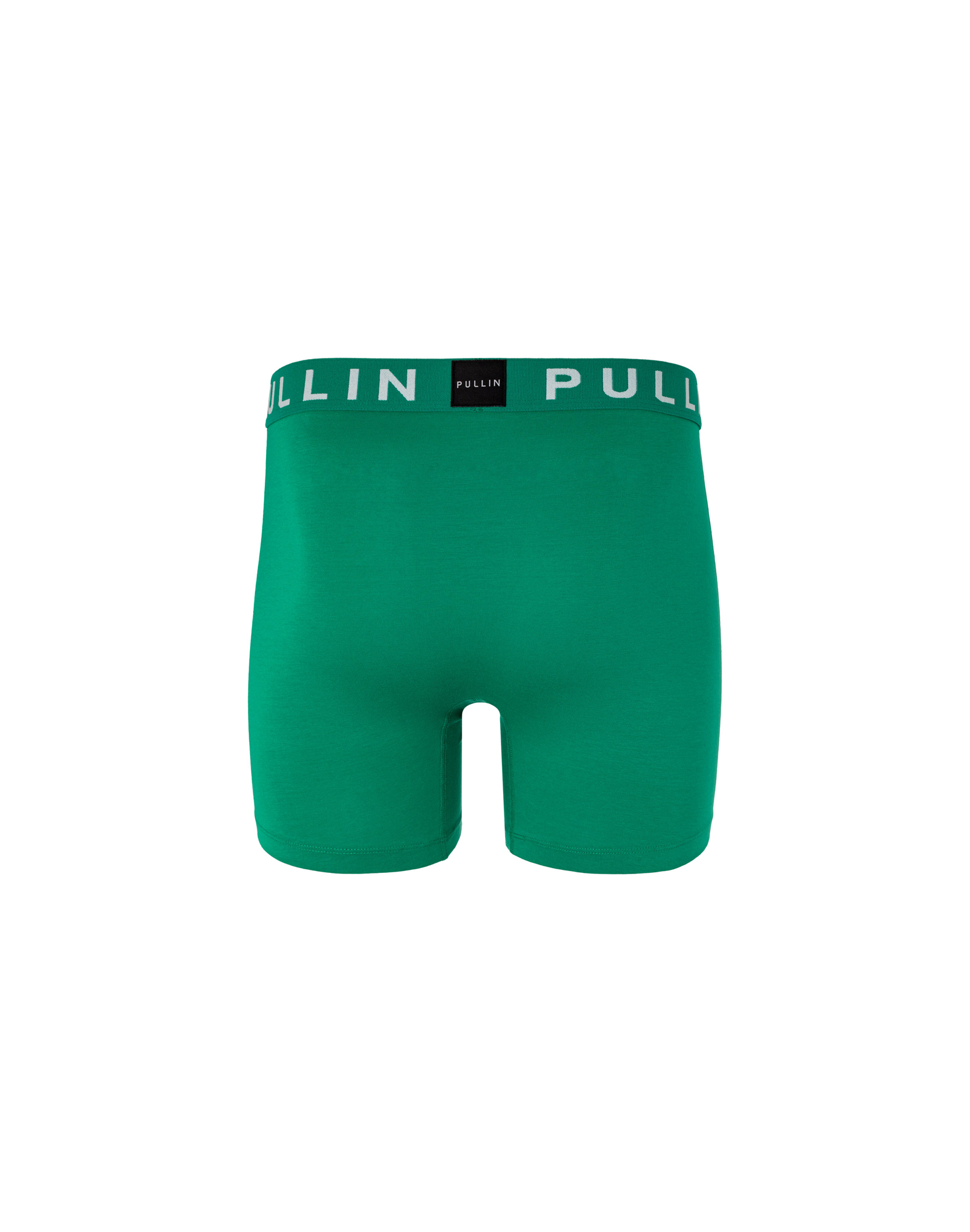 Men's trunk FASHION 2 GREEN21
