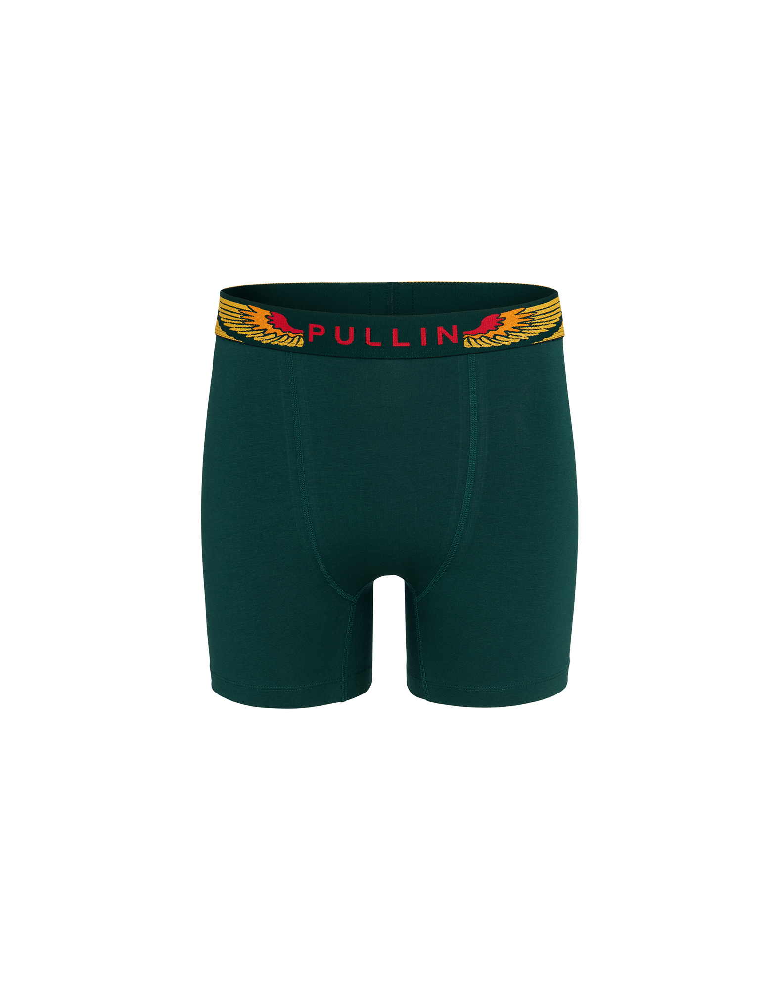 Men's trunk FASHION 2 WINGSGREEN