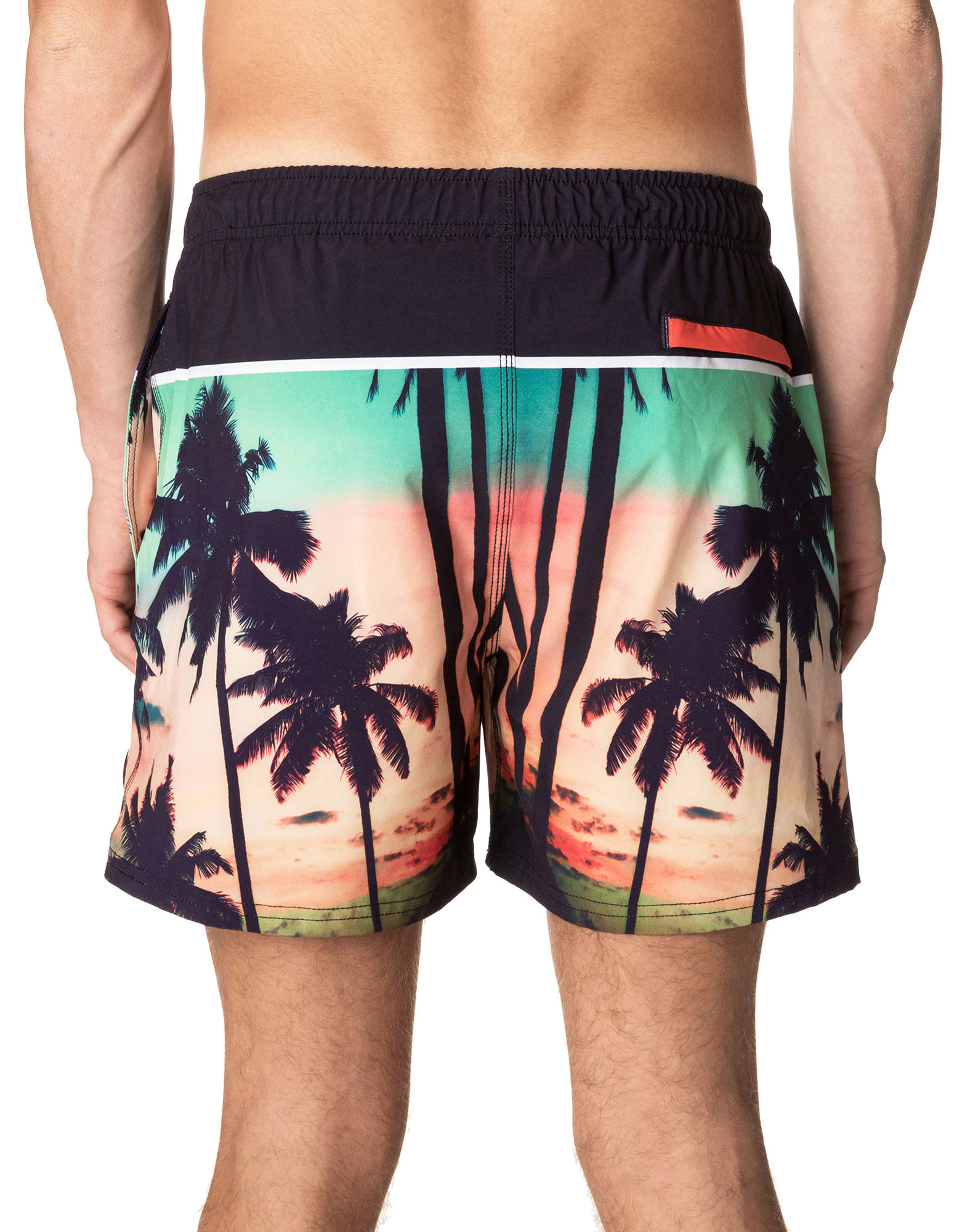 Short homme JAM PALMTREE
