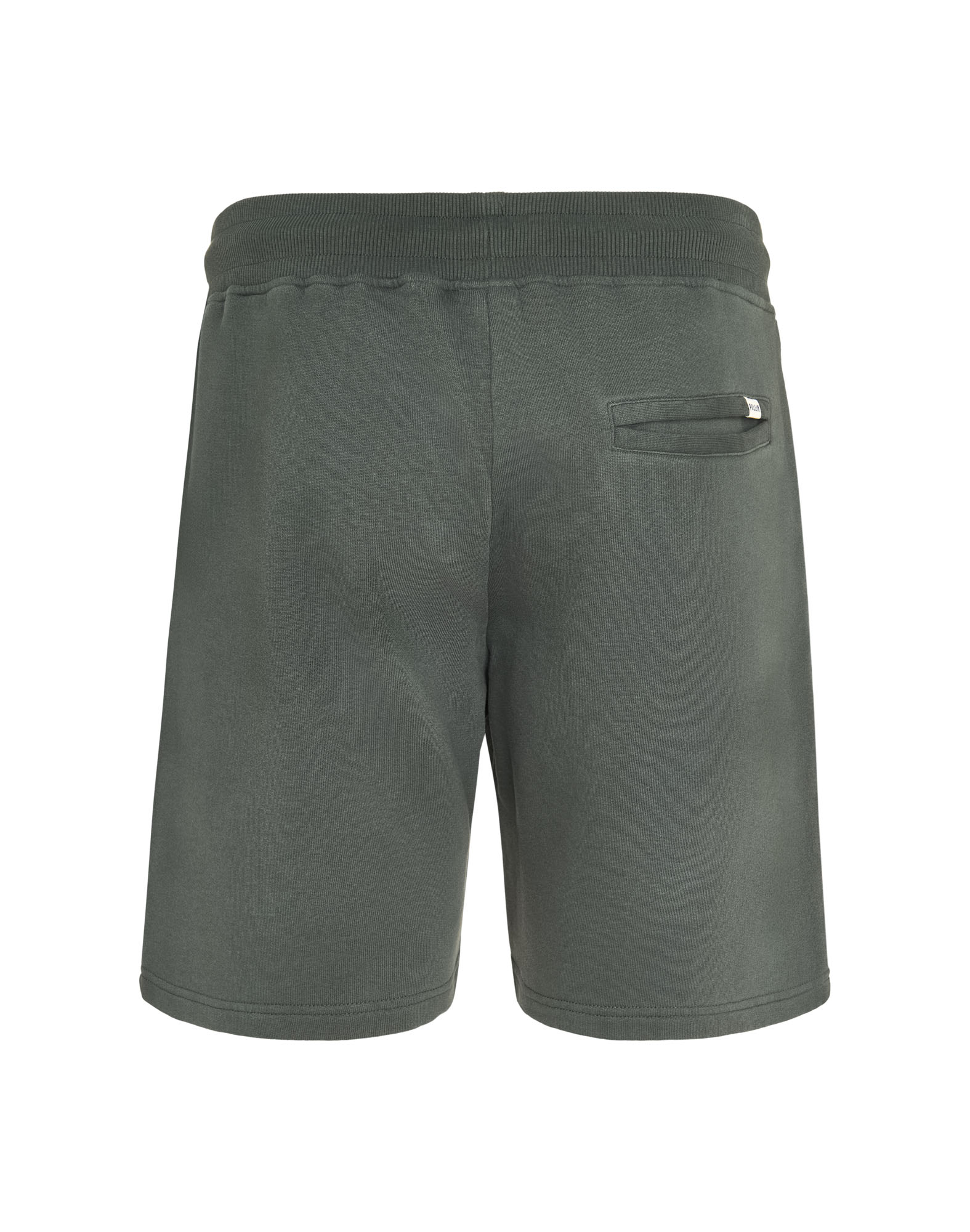 SHORT JOGGGING FOREST