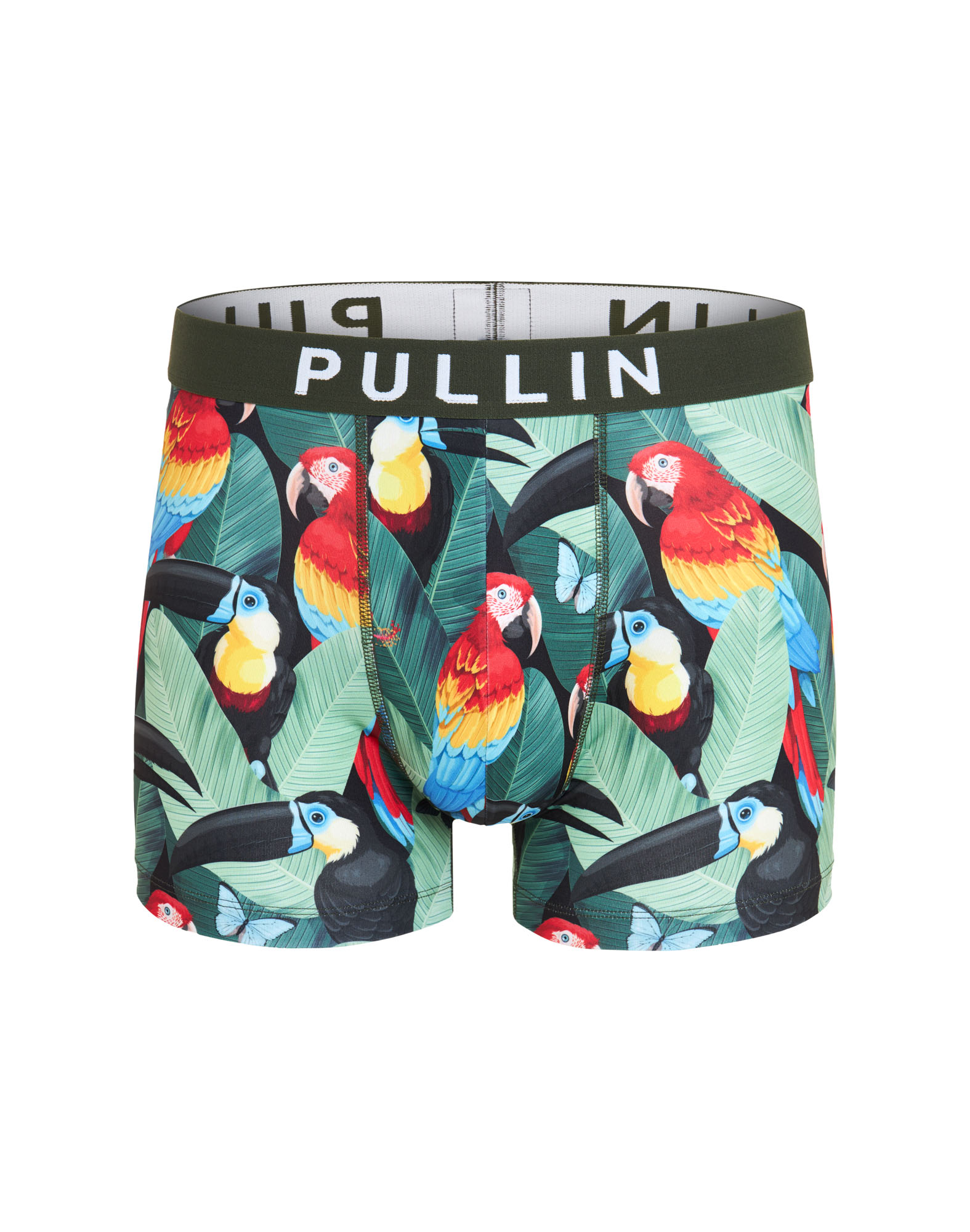 BOXER COURT AMAZONIE
