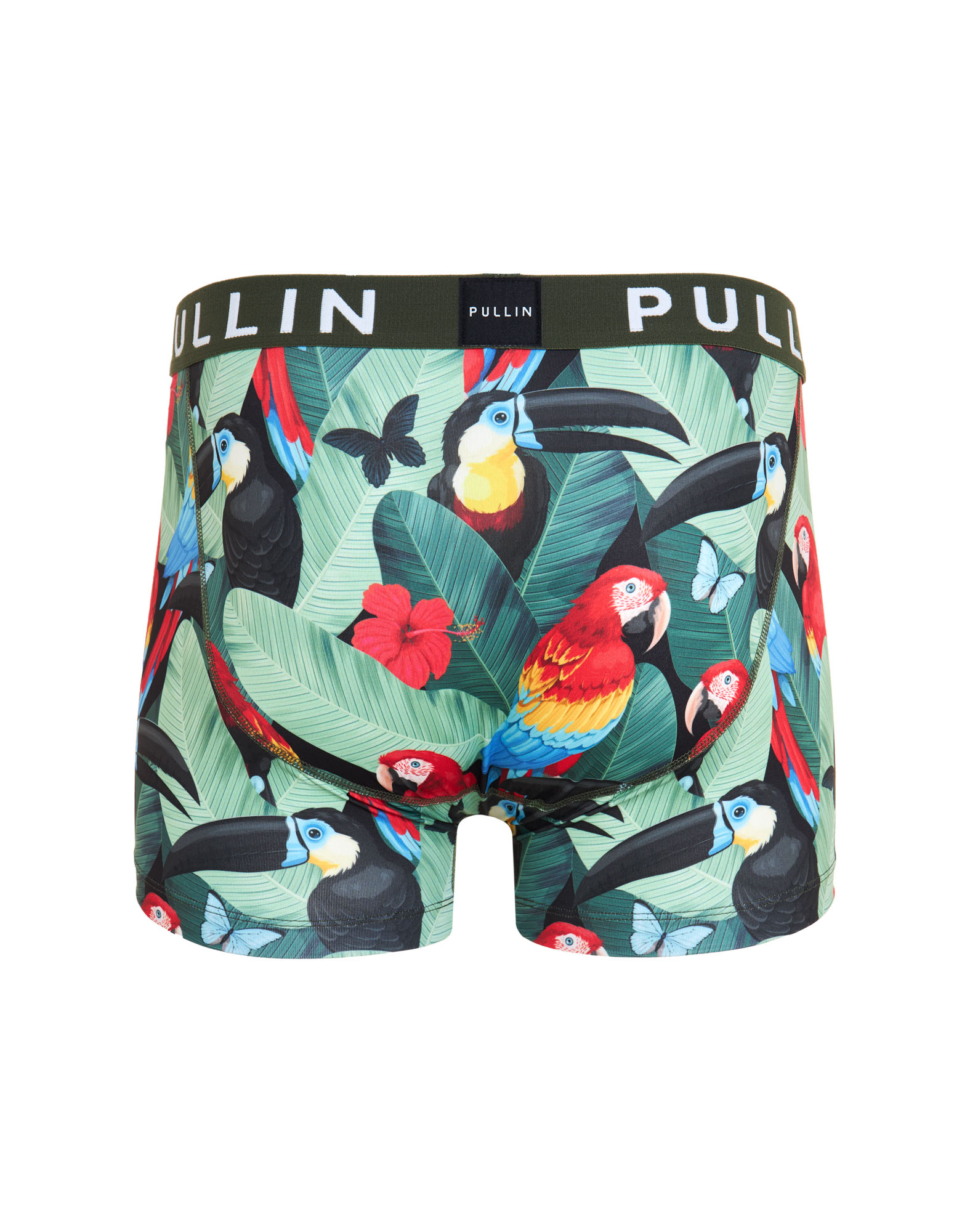 BOXER COURT AMAZONIE
