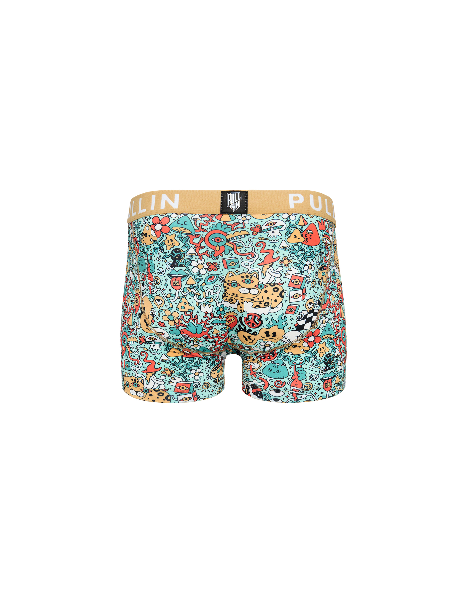 Men's trunk Master AMIO