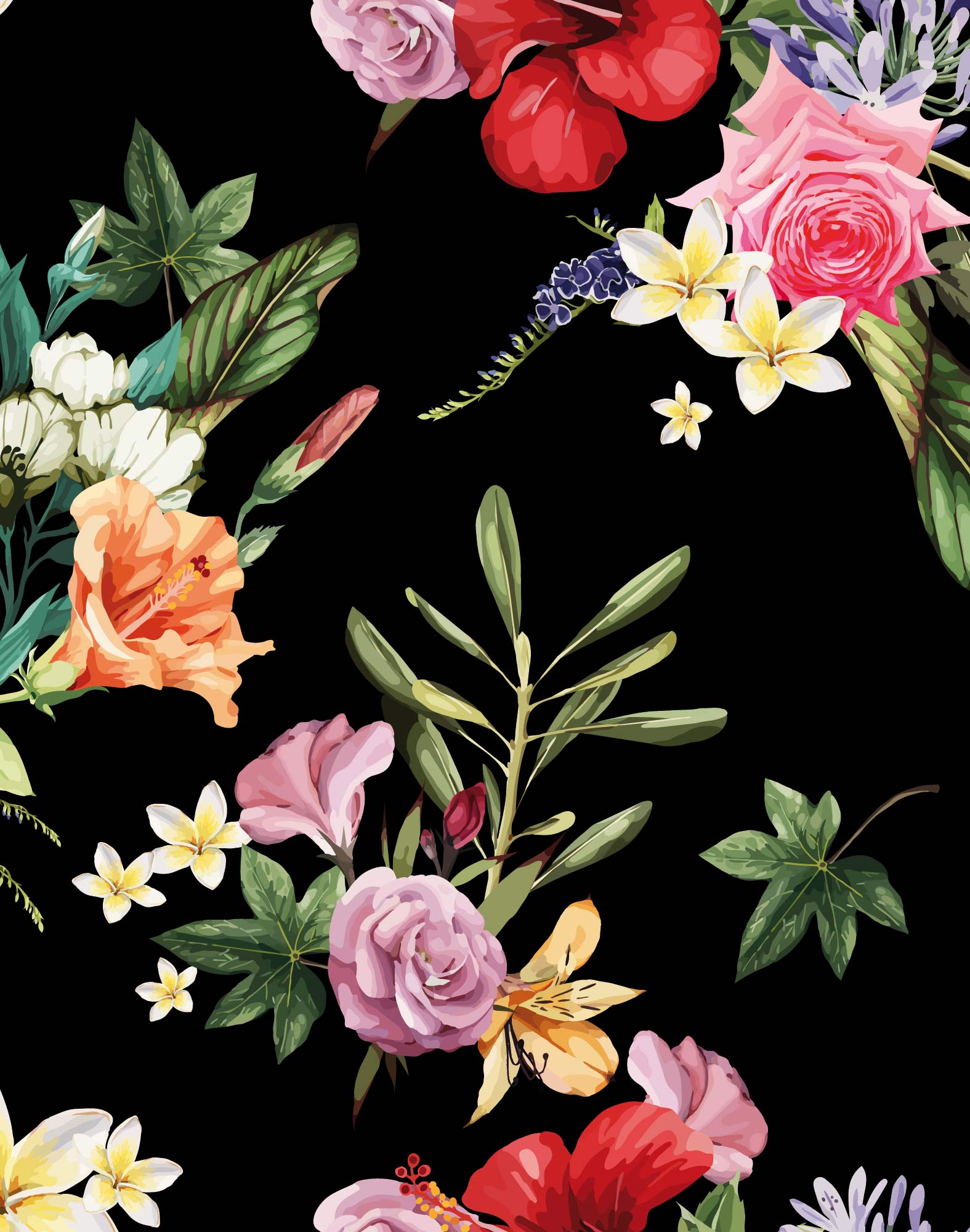 BOXER COURT BLACKROSE