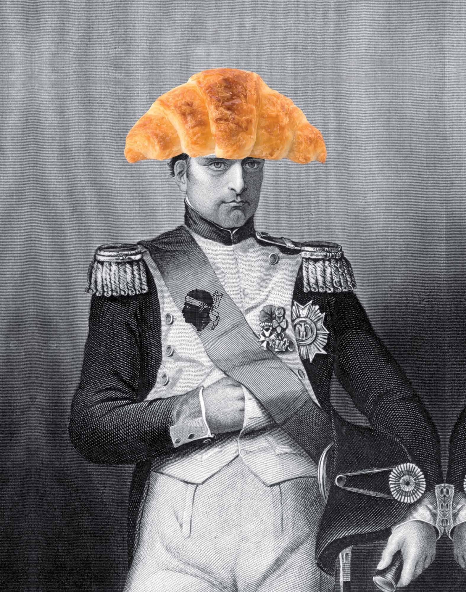 BOXER COURT BONAPARTE